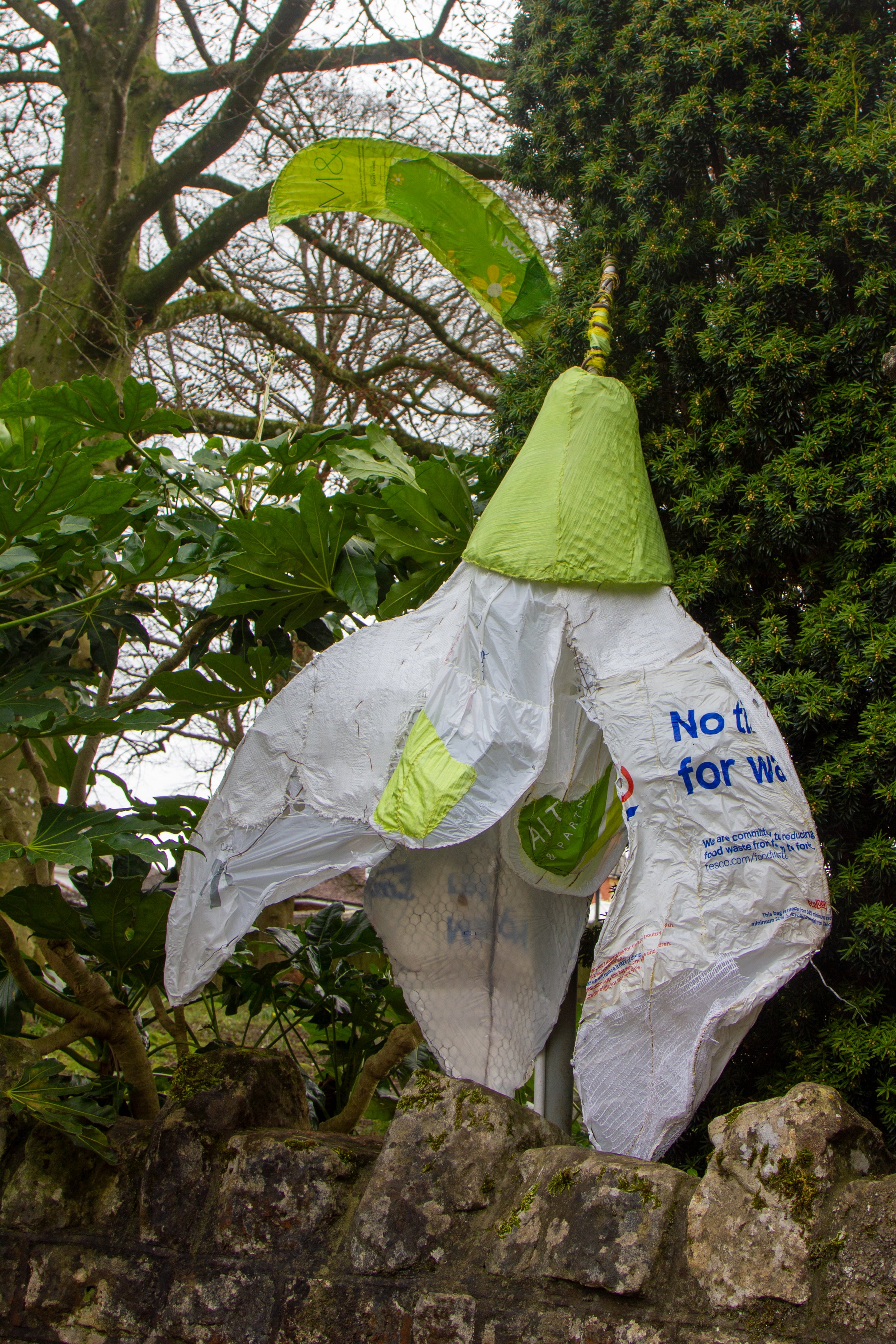 Snowdrops, (detail), Fiona Campbell. Photo by Martyn Sheppard..jpeg