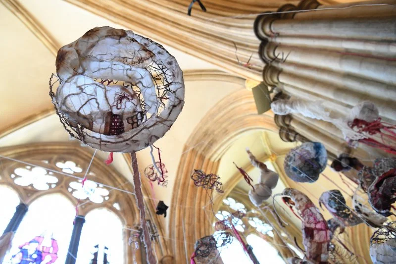  Photo by Ann Purkiss 