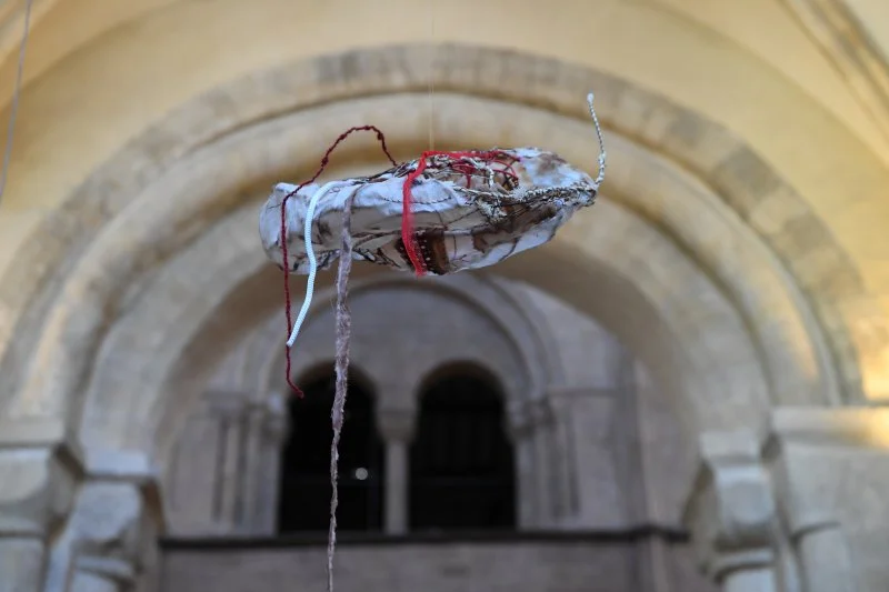  Photo by Ann Purkiss 