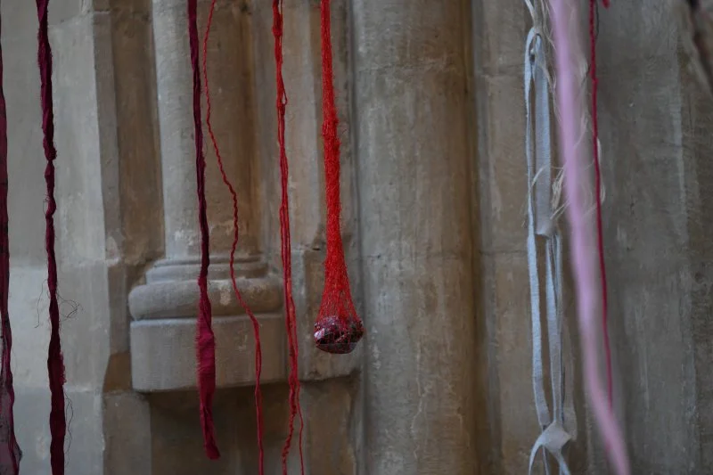  Photo by Ann Purkiss 