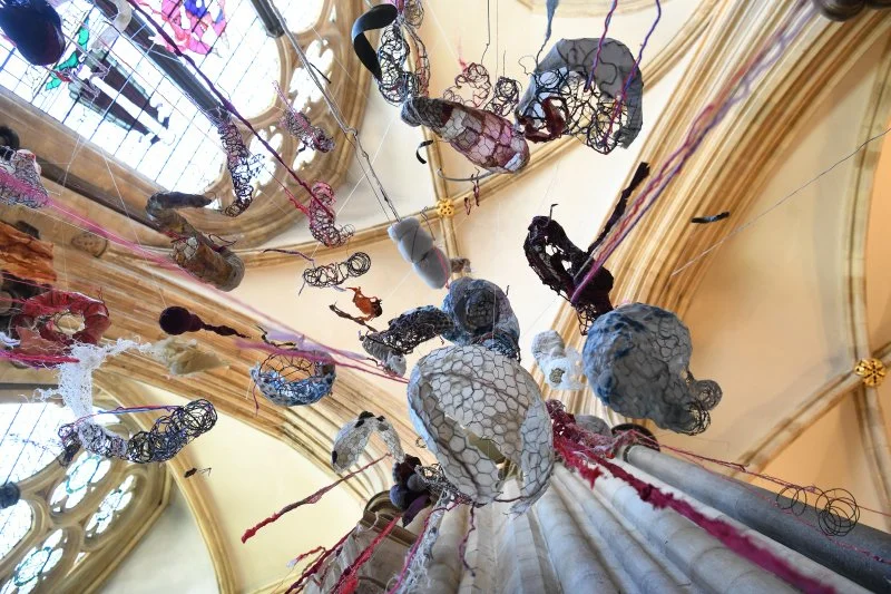  Photo by Ann Purkiss 