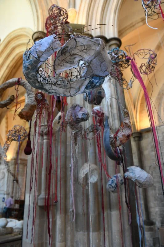  Photo by Ann Purkiss 