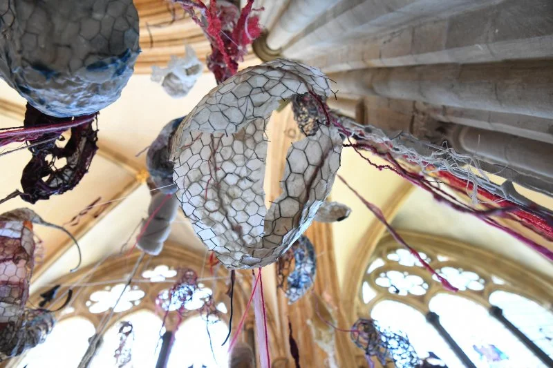  Photo by Ann Purkiss 