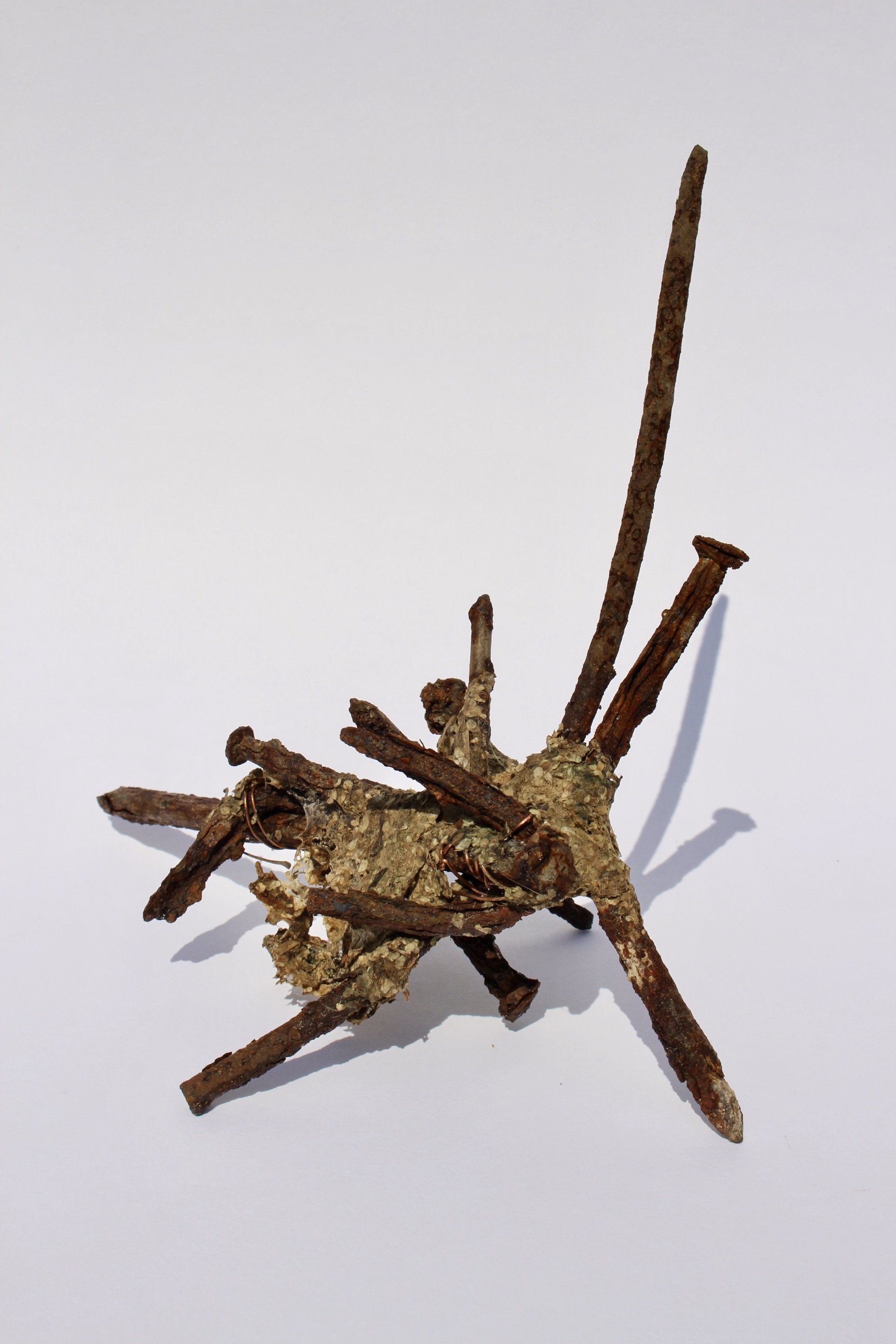 Entangled III,found nails, pondweed,19x12.5x17cm.20.jpeg