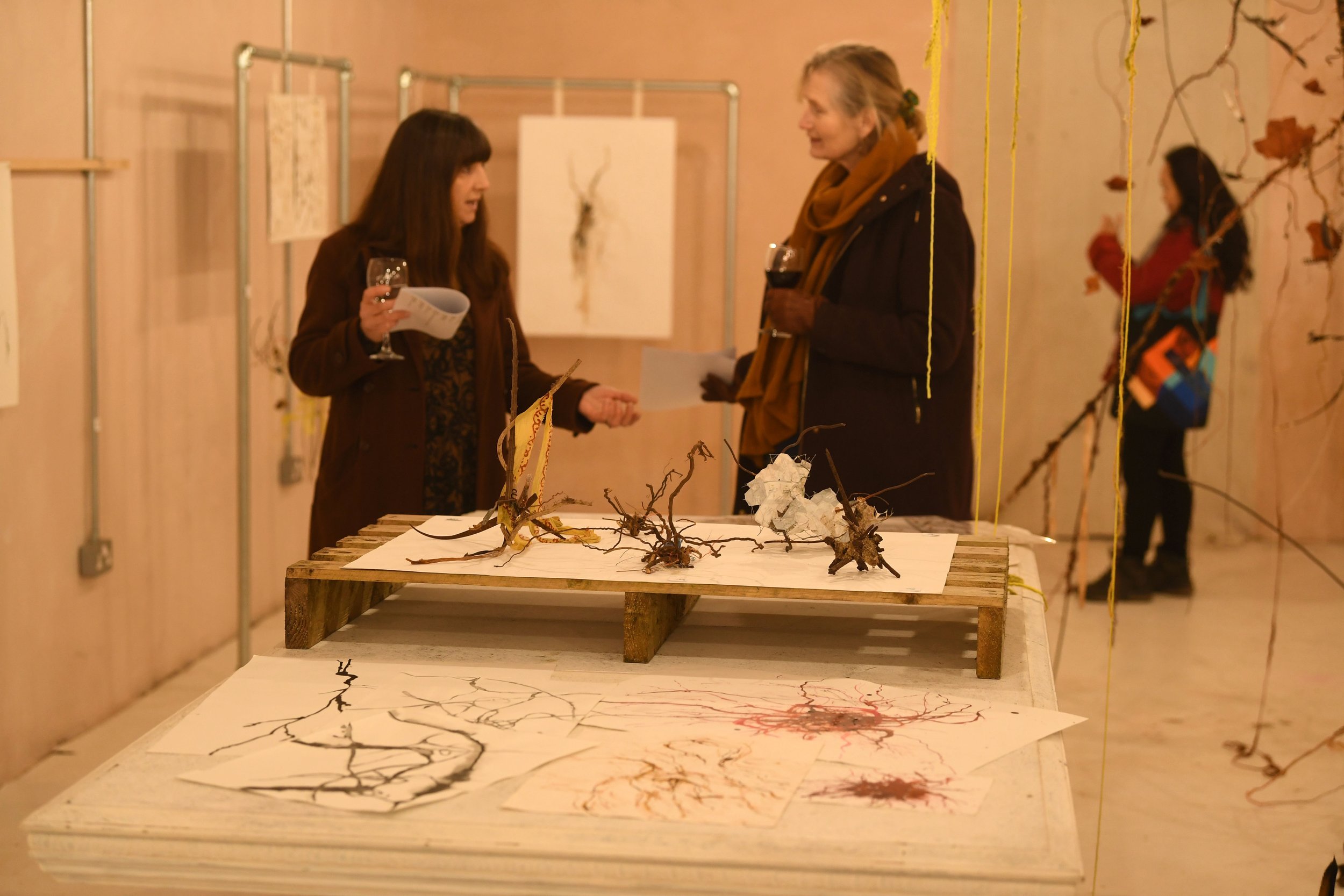 Visitors at Opening Event, Fiona Campbell, solo exhibition. Photo by Russell Sach..jpg