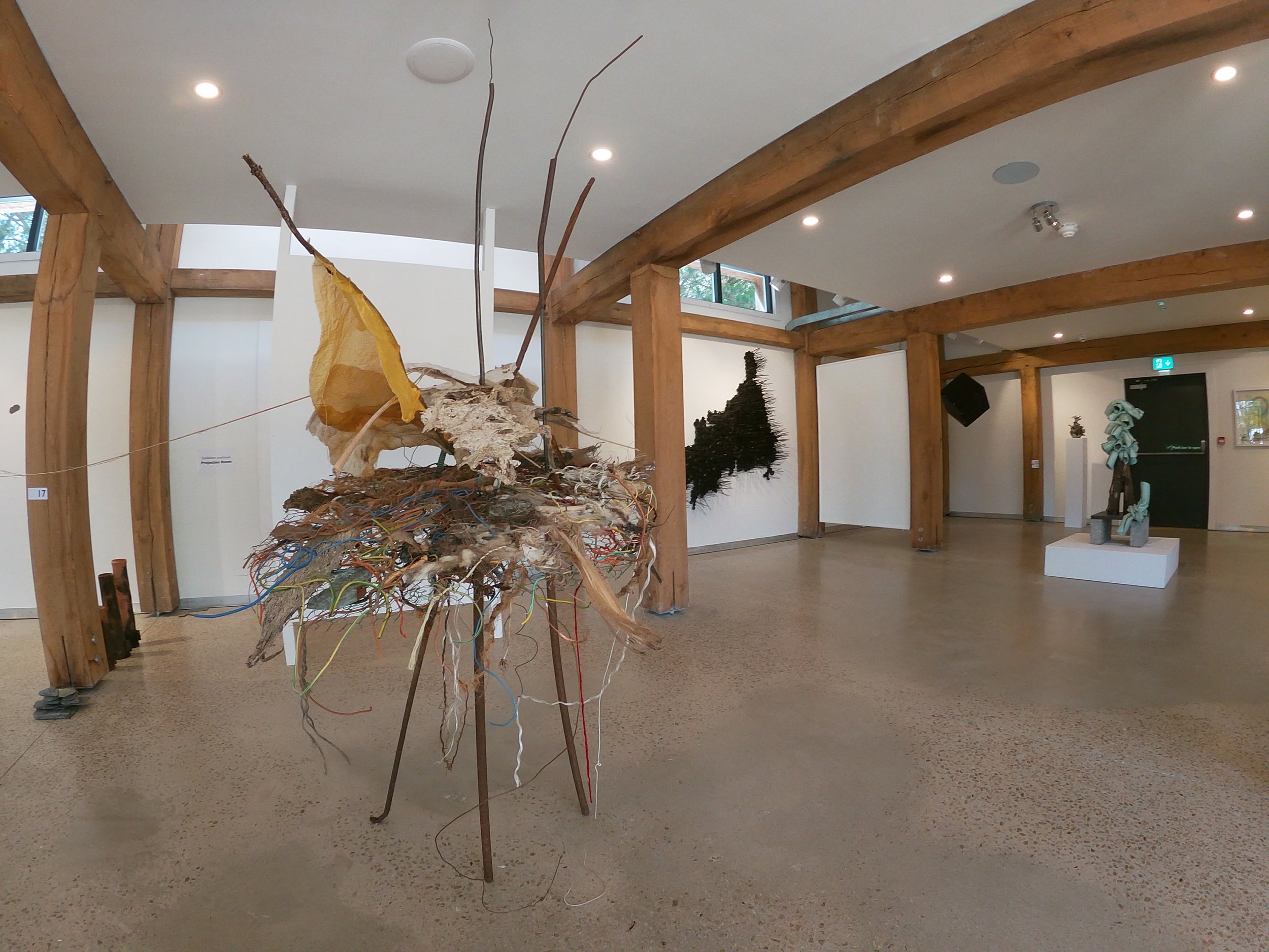  Photo by Seamus Moran 