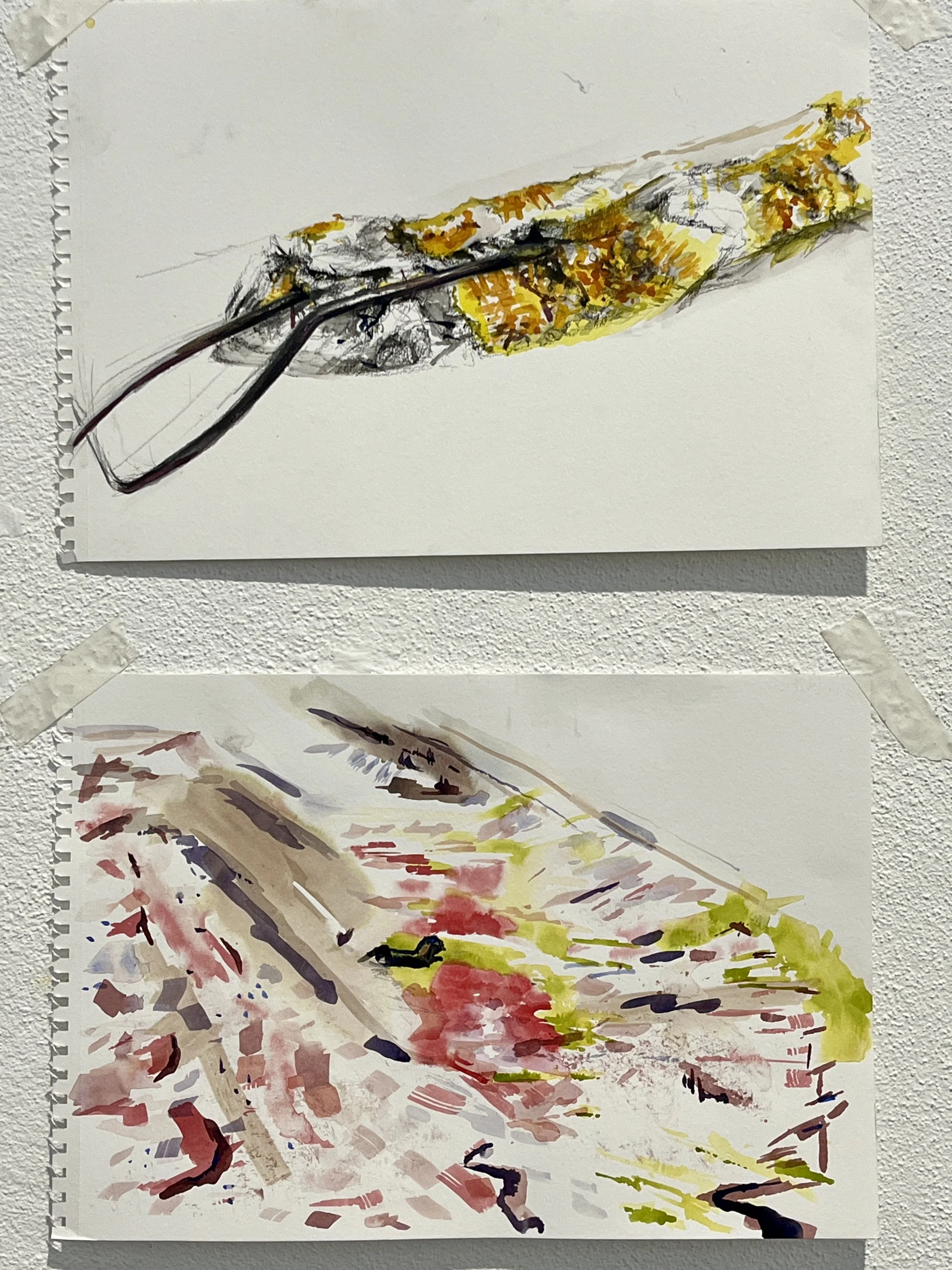  Drawings made in the wasteland. 