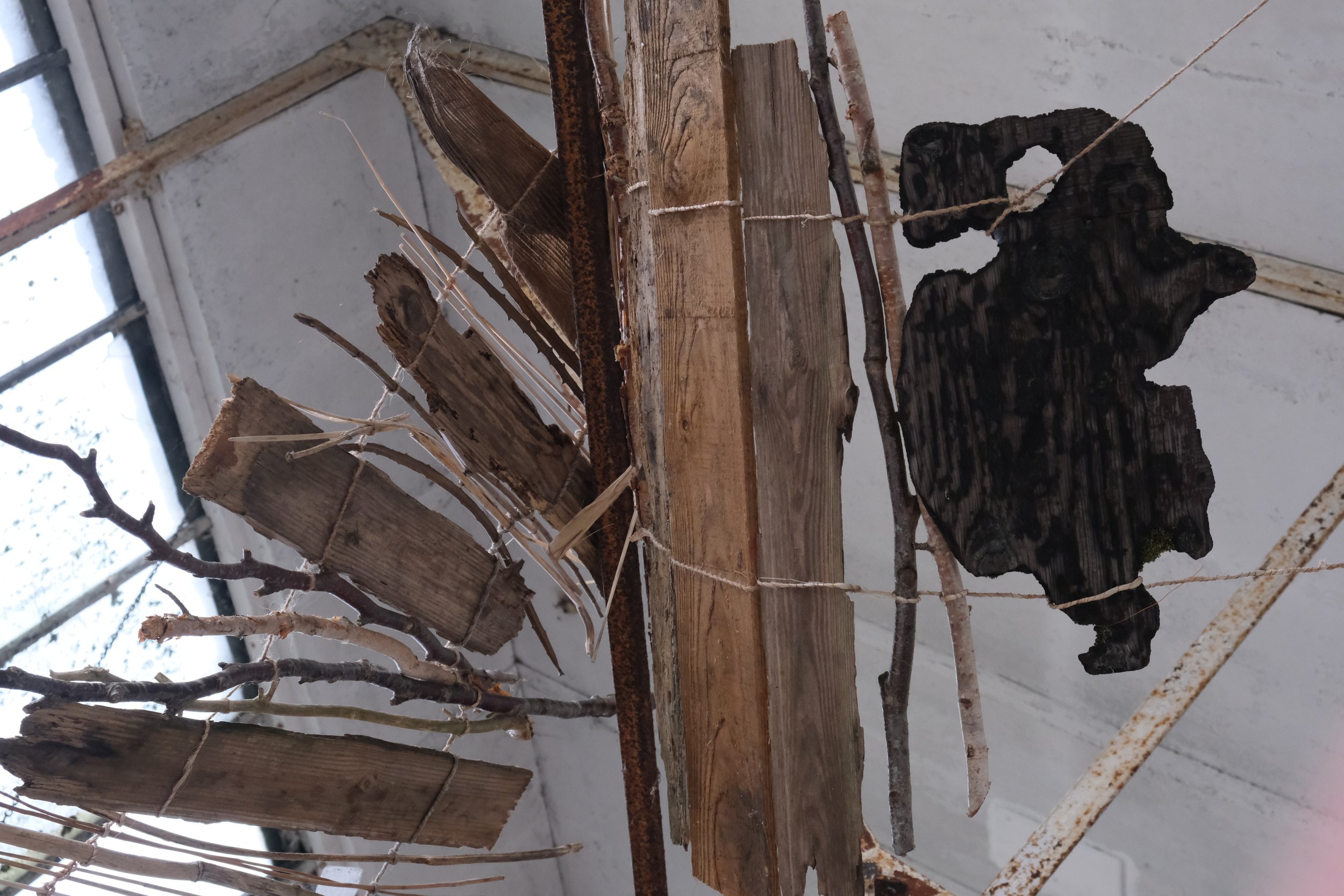 Raft, Fiona. AOATH. Photo Jo Hartley.JPG