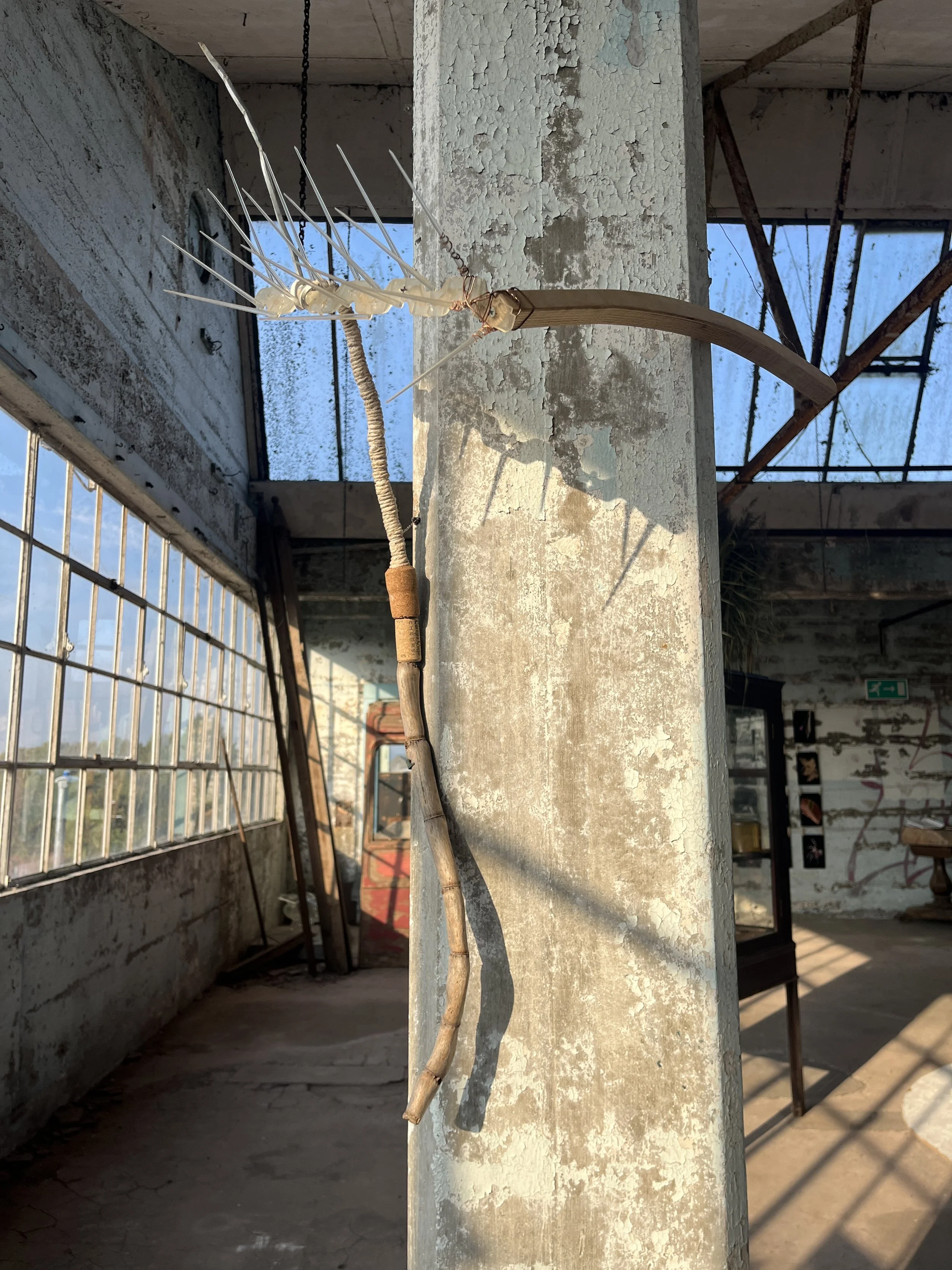  Additional work accompanying the Stilt Structures 