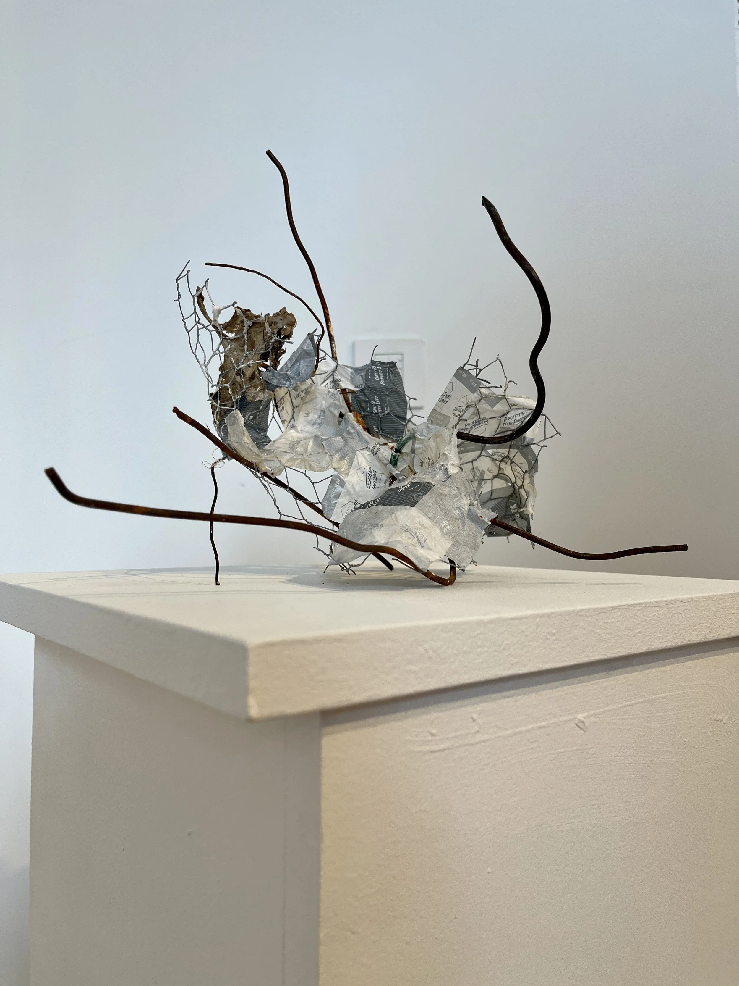 Sculpture: Entangled I