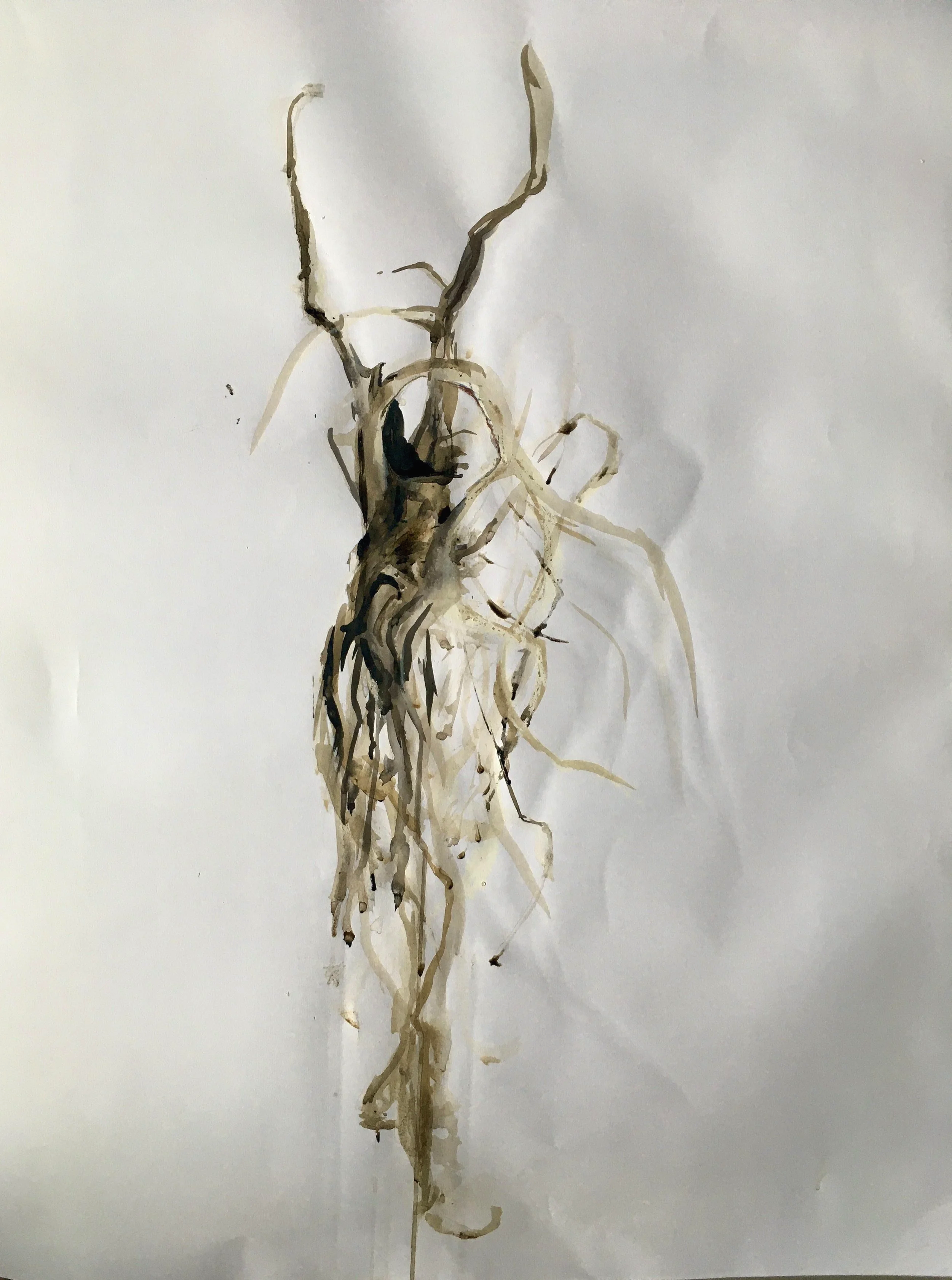 Root%2C+85+x+60cm.png