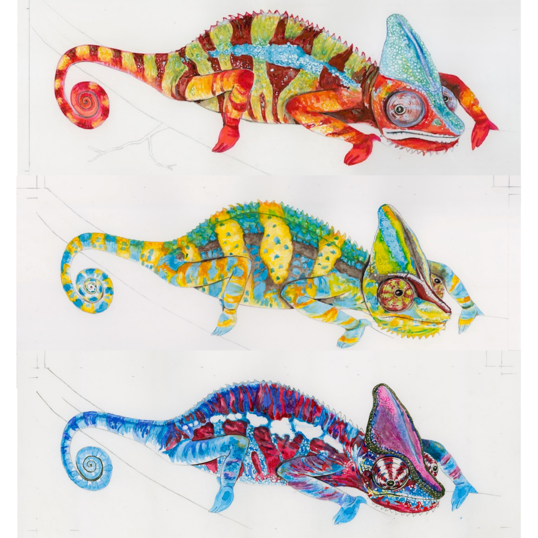 Chameleons x 3, Fiona's initial paintings.png