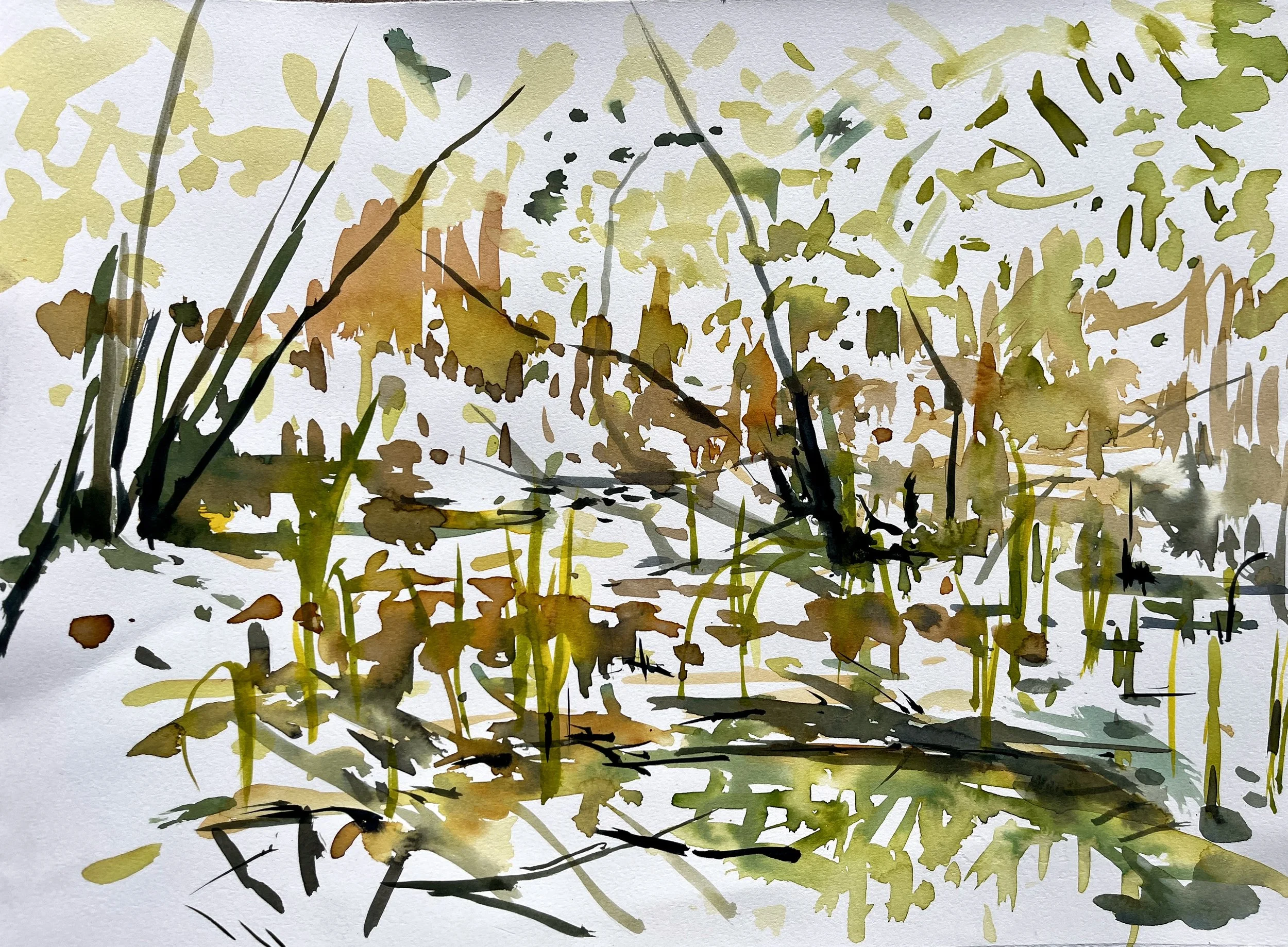 Avalon Marshes, 38x29cm,2024.JPG