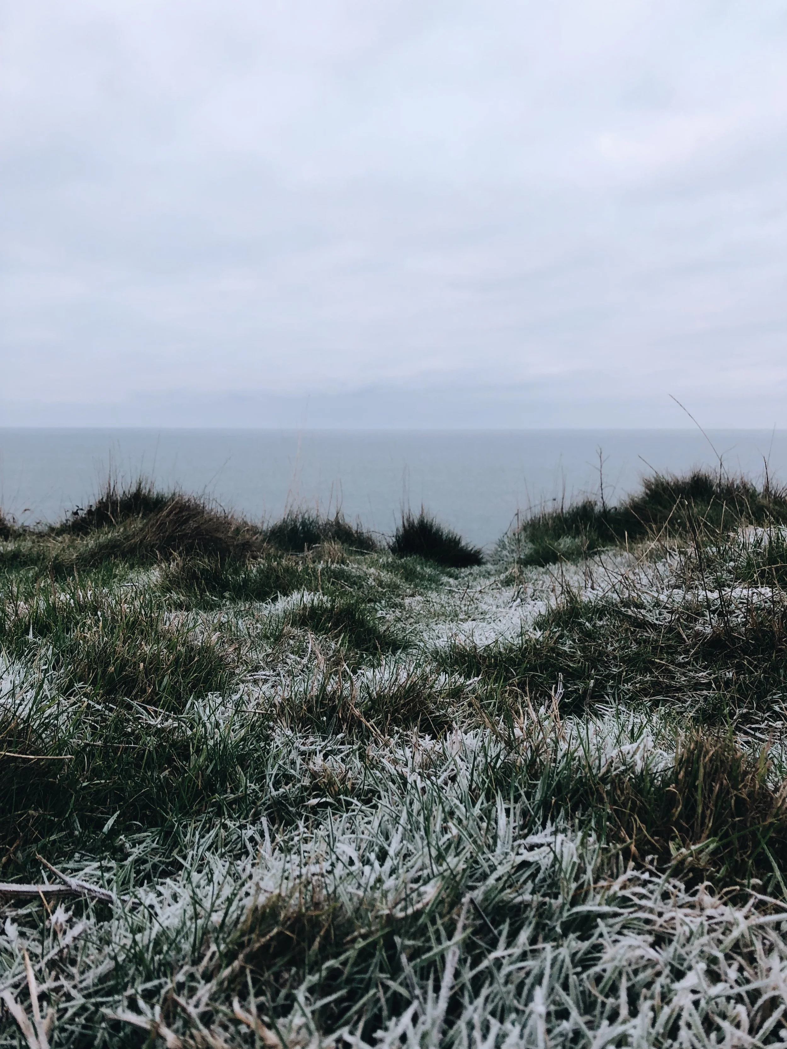 image1-7.jpeg
