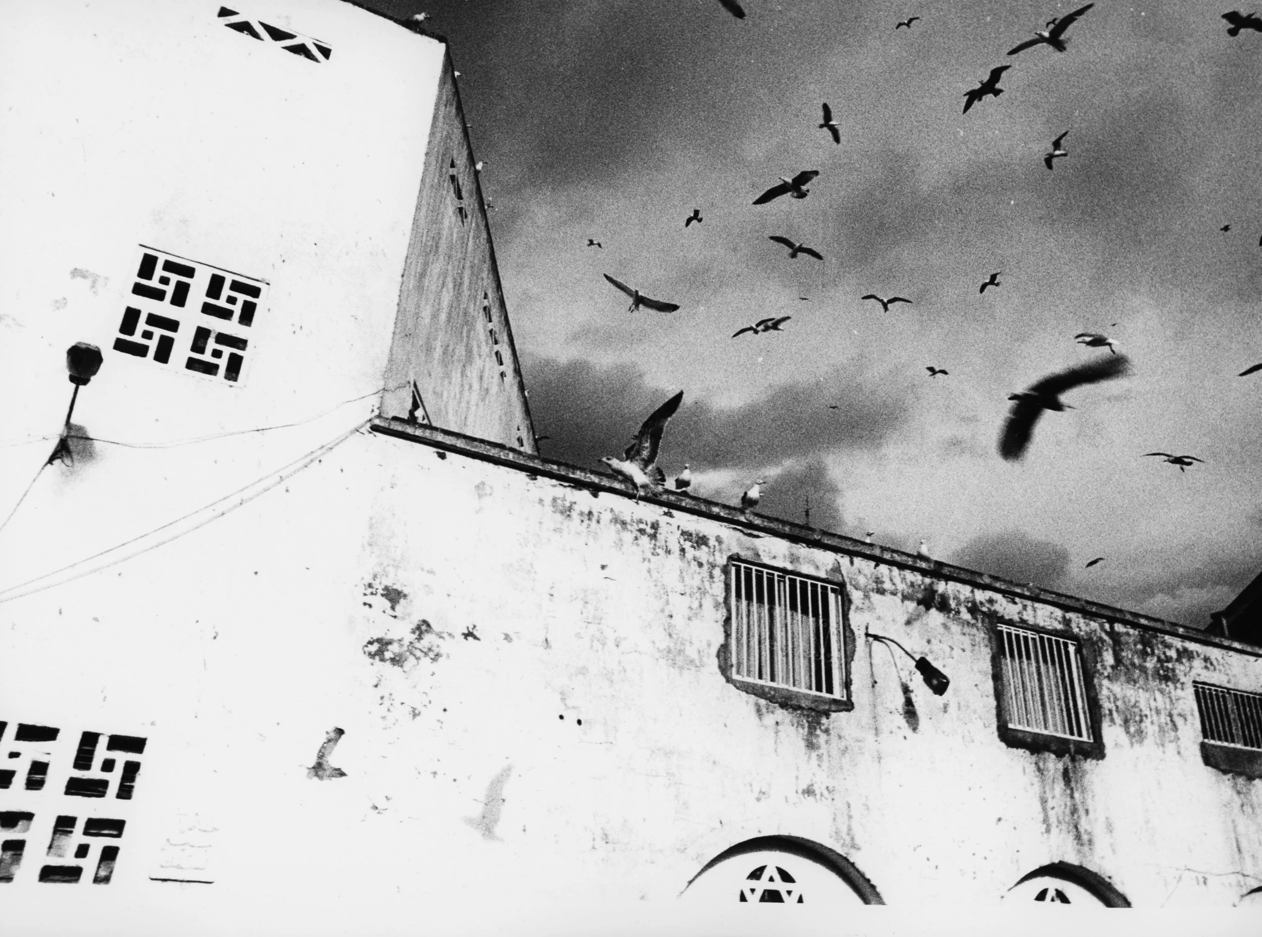 Les oiseaux, Tétouan