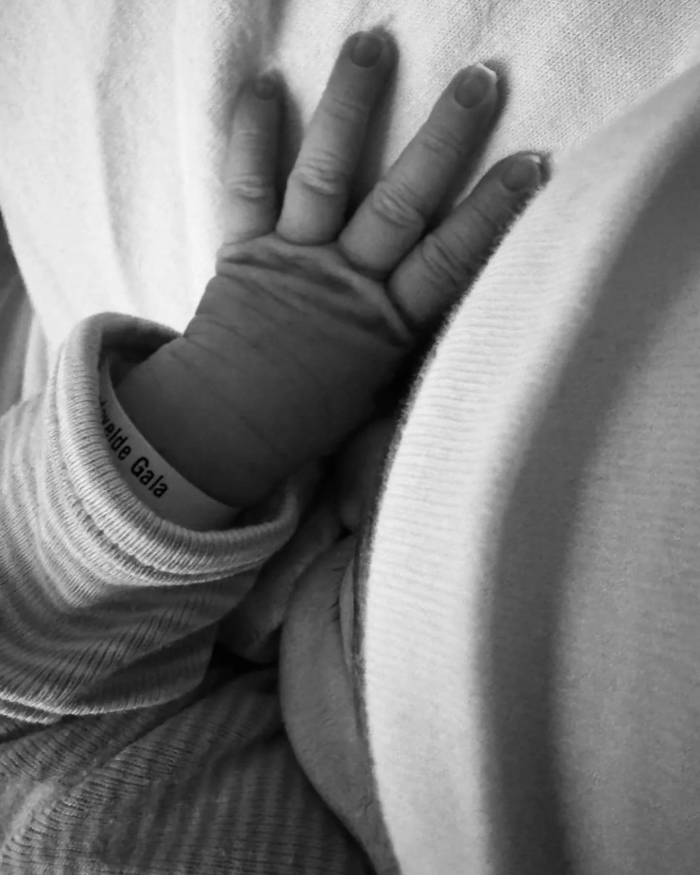 ☀️Gala ☀️ 03.10.24 ❤️ @laurasole_a ❤️