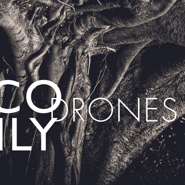 Drones