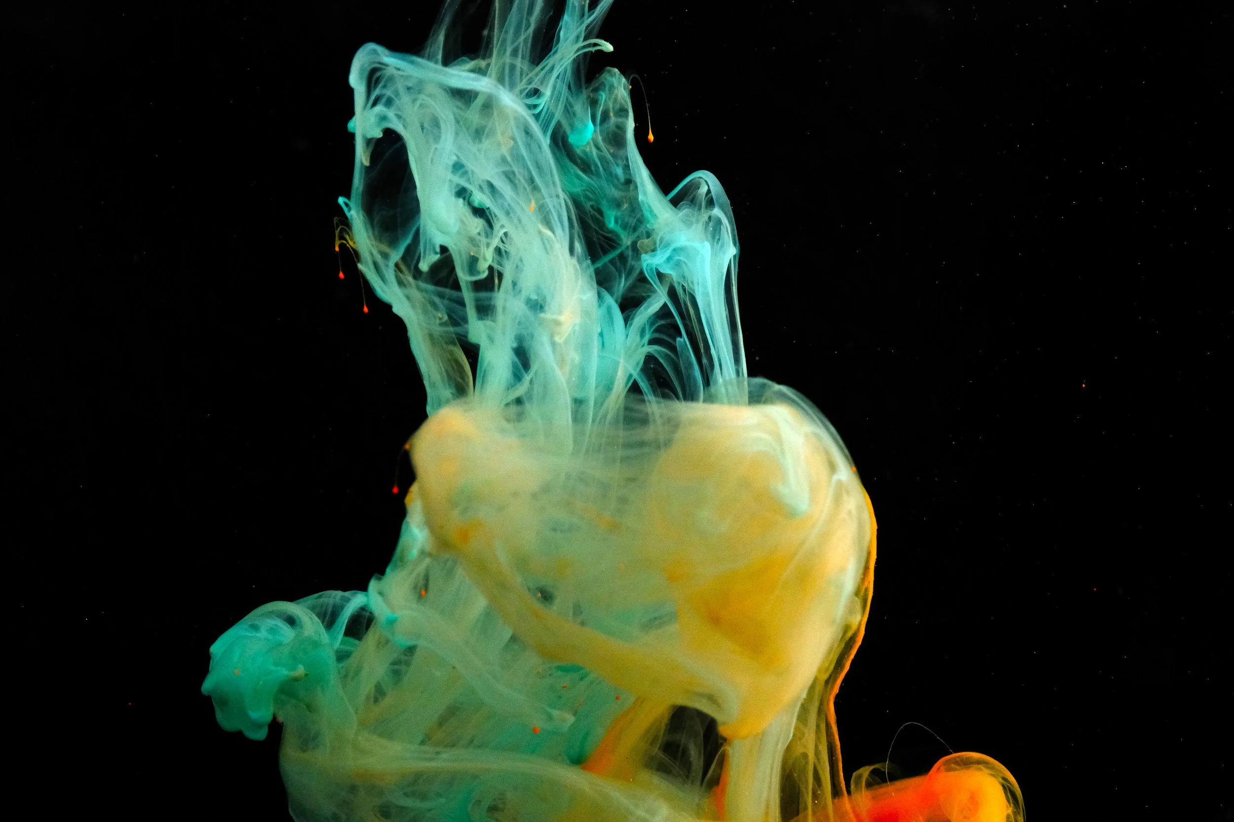 iStock-1384416580 (1).jpg