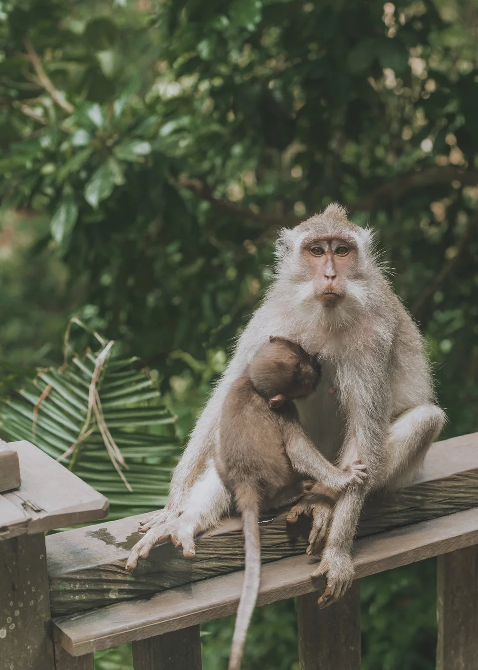 Bali Part 1: Detoxing with Sound Healing &amp; Reflexology