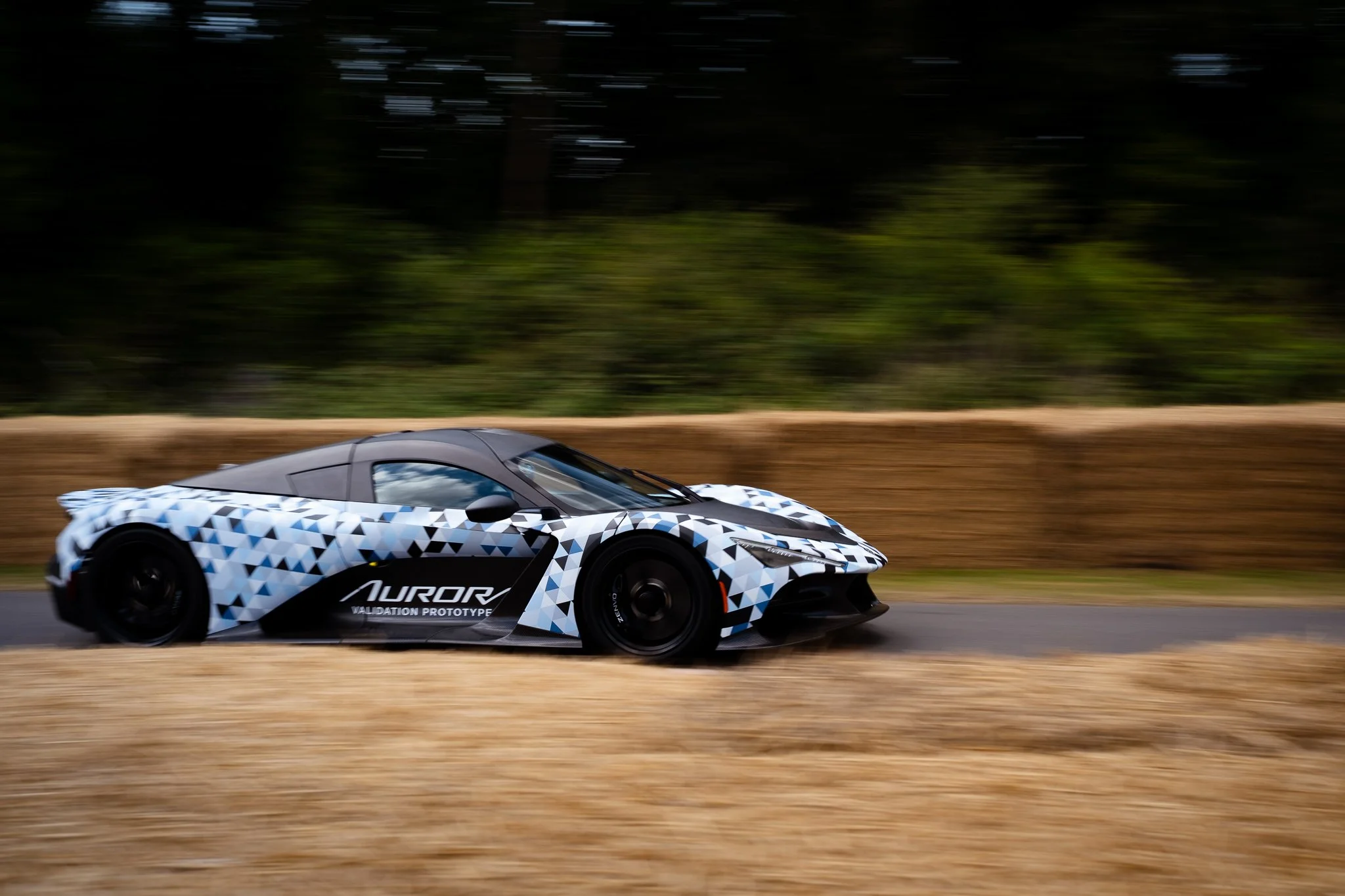 Goodwood FOS-84.JPG