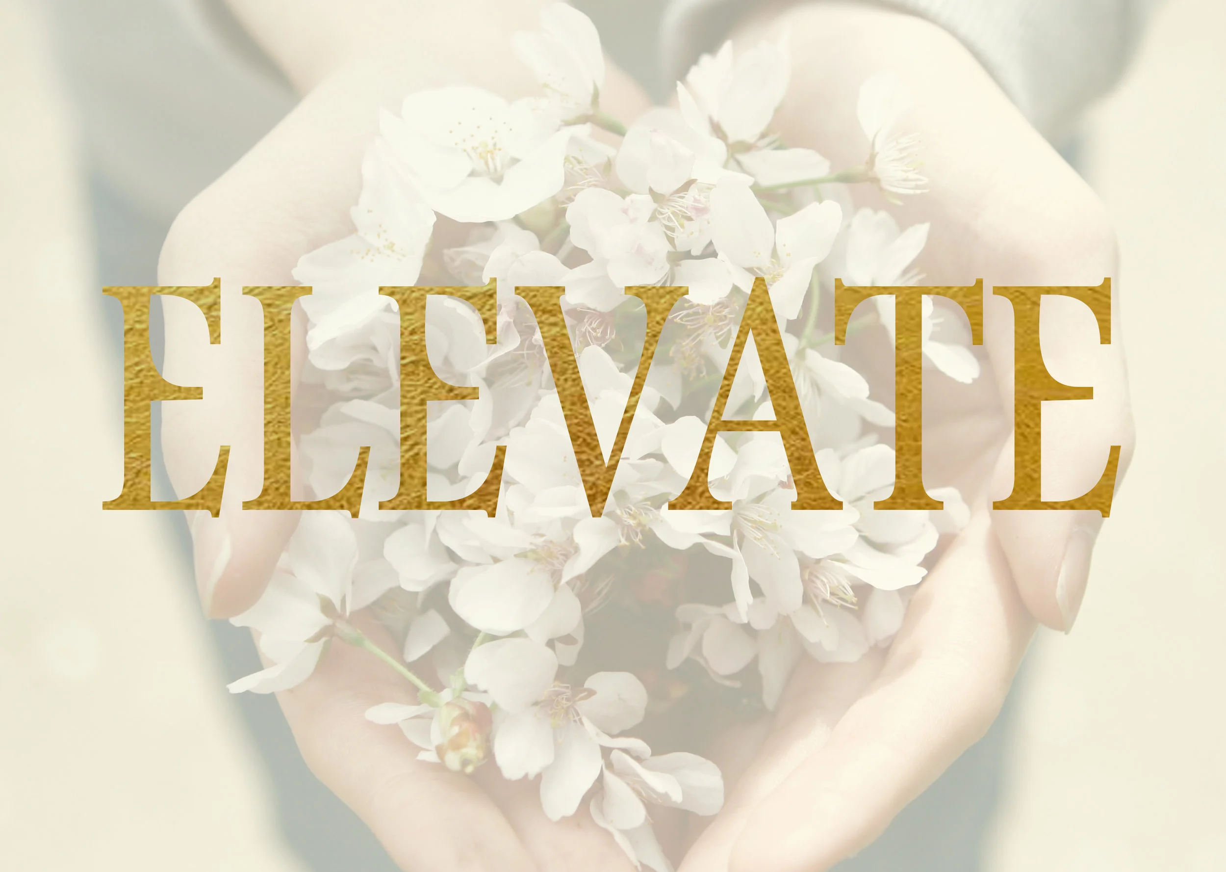 elevate.jpg