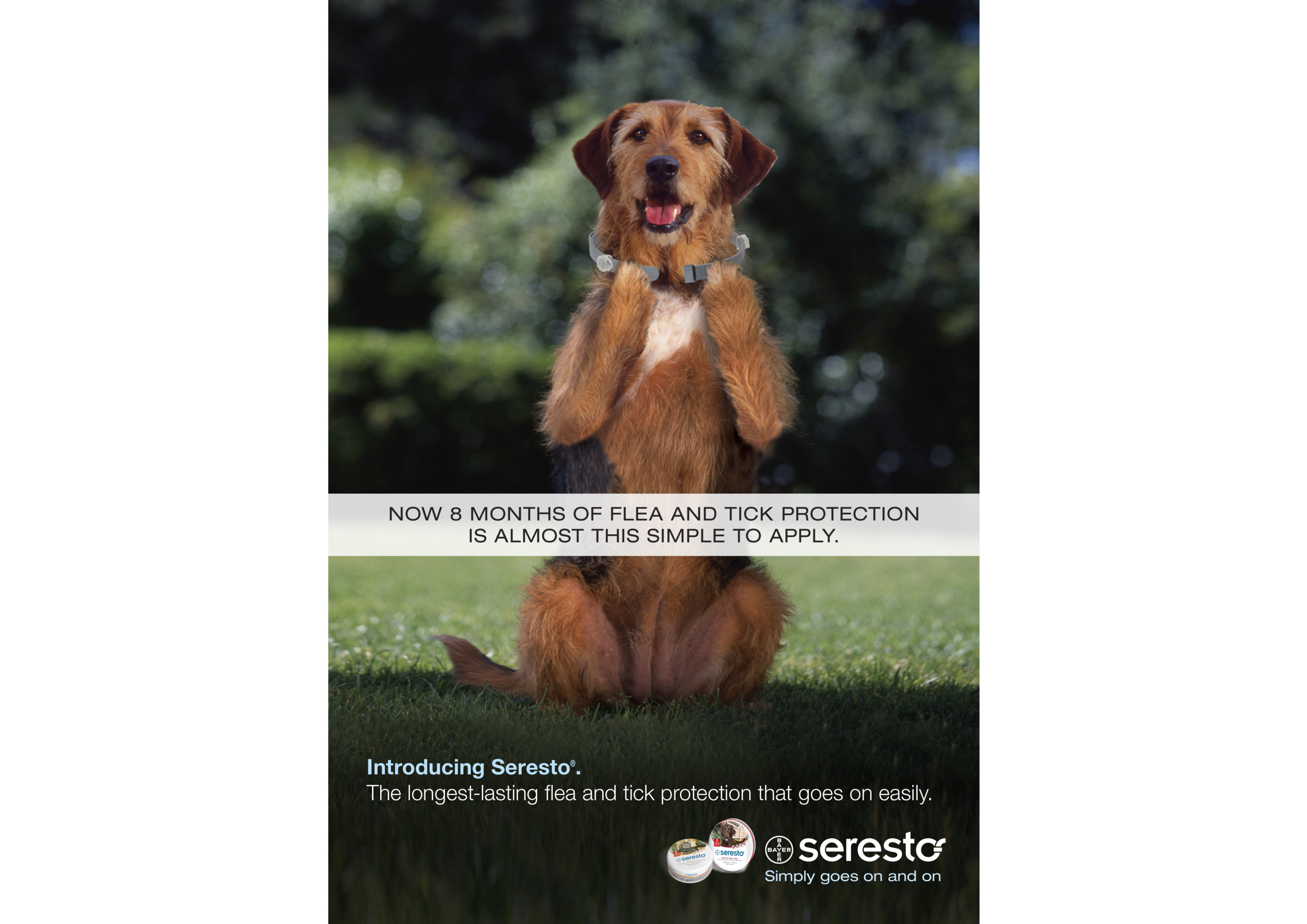Seresto 8-Month Protection