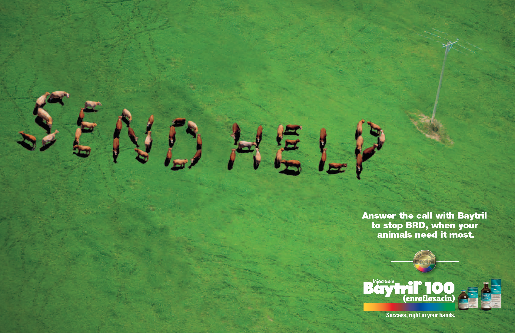 Baytril spec, Send Help