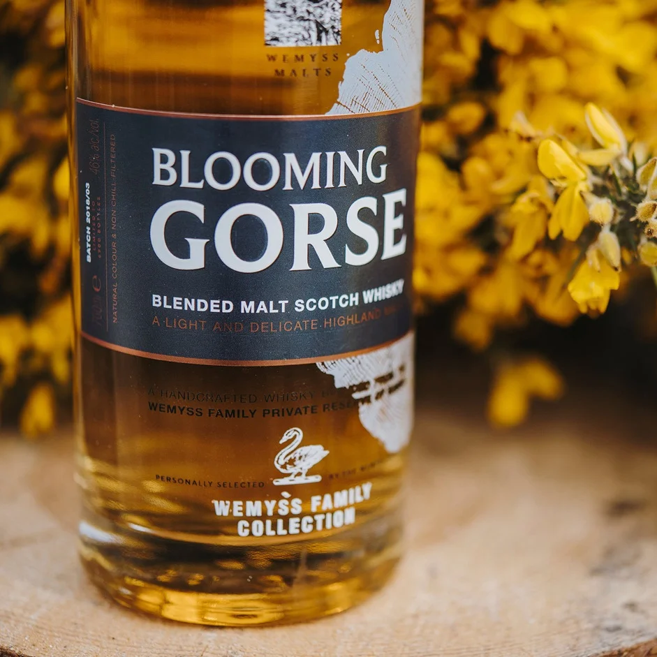 Wemyss+Beach+Shootoptimised_54.jpg
