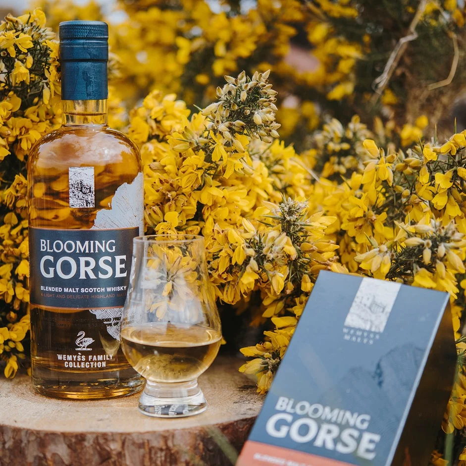 Wemyss+Beach+Shootoptimised_51.jpg