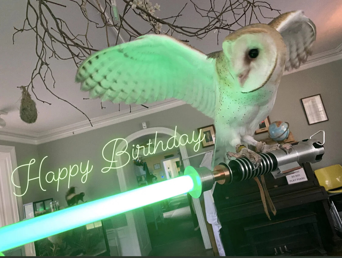 Birds of Prey JUNE Drive Thru Day