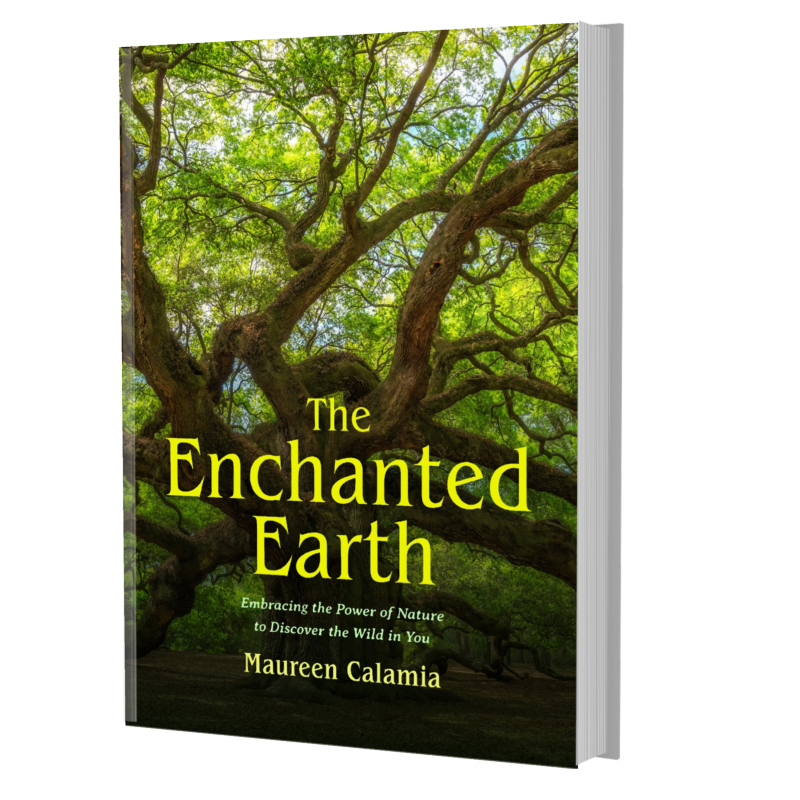 The Enchanted Earth Talk &amp; Book Signing