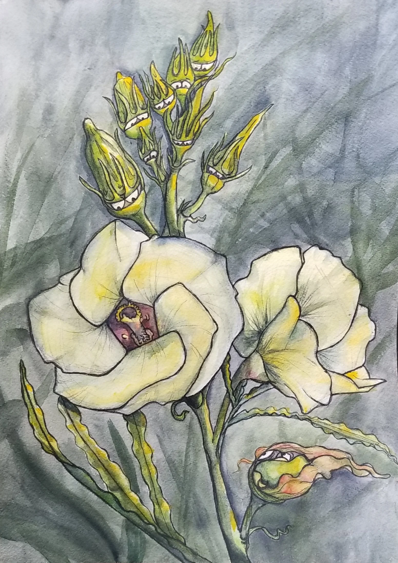 Okra 1 Curious Watcher.jpg