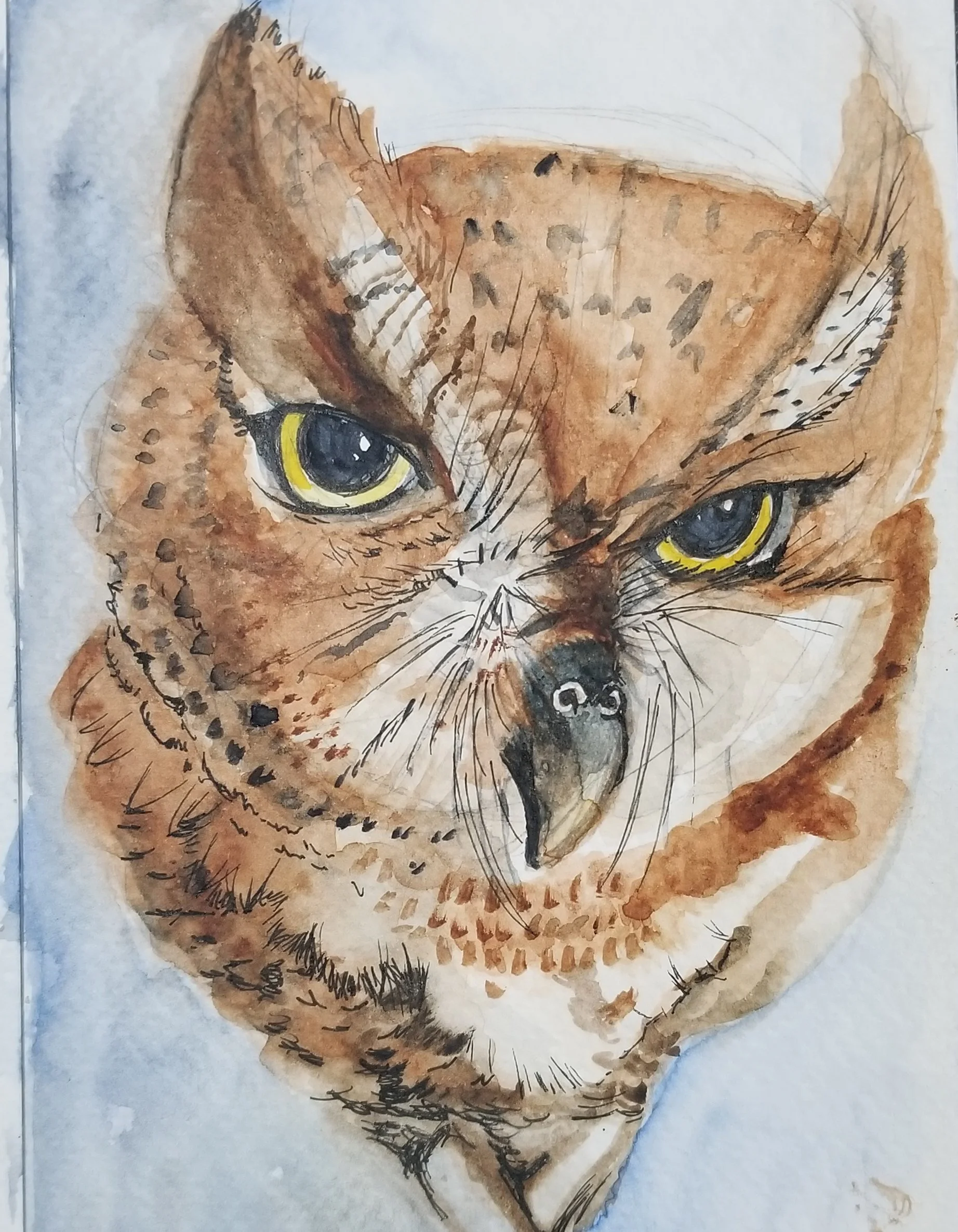 Art Is A Hoot For Adults