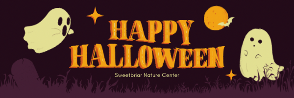 Creatures of the Night: Lantern Walk and Wildlife 10/9