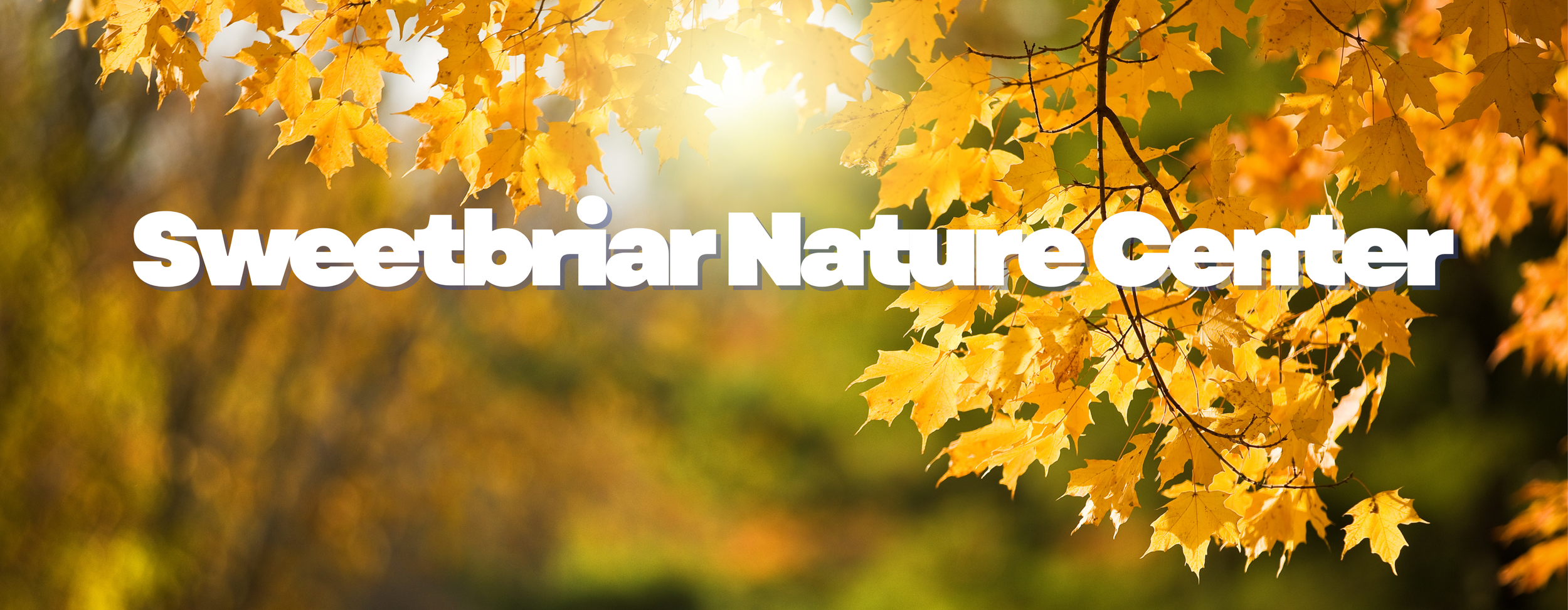 Sweetbriar+Nature+Center+%282%29.png