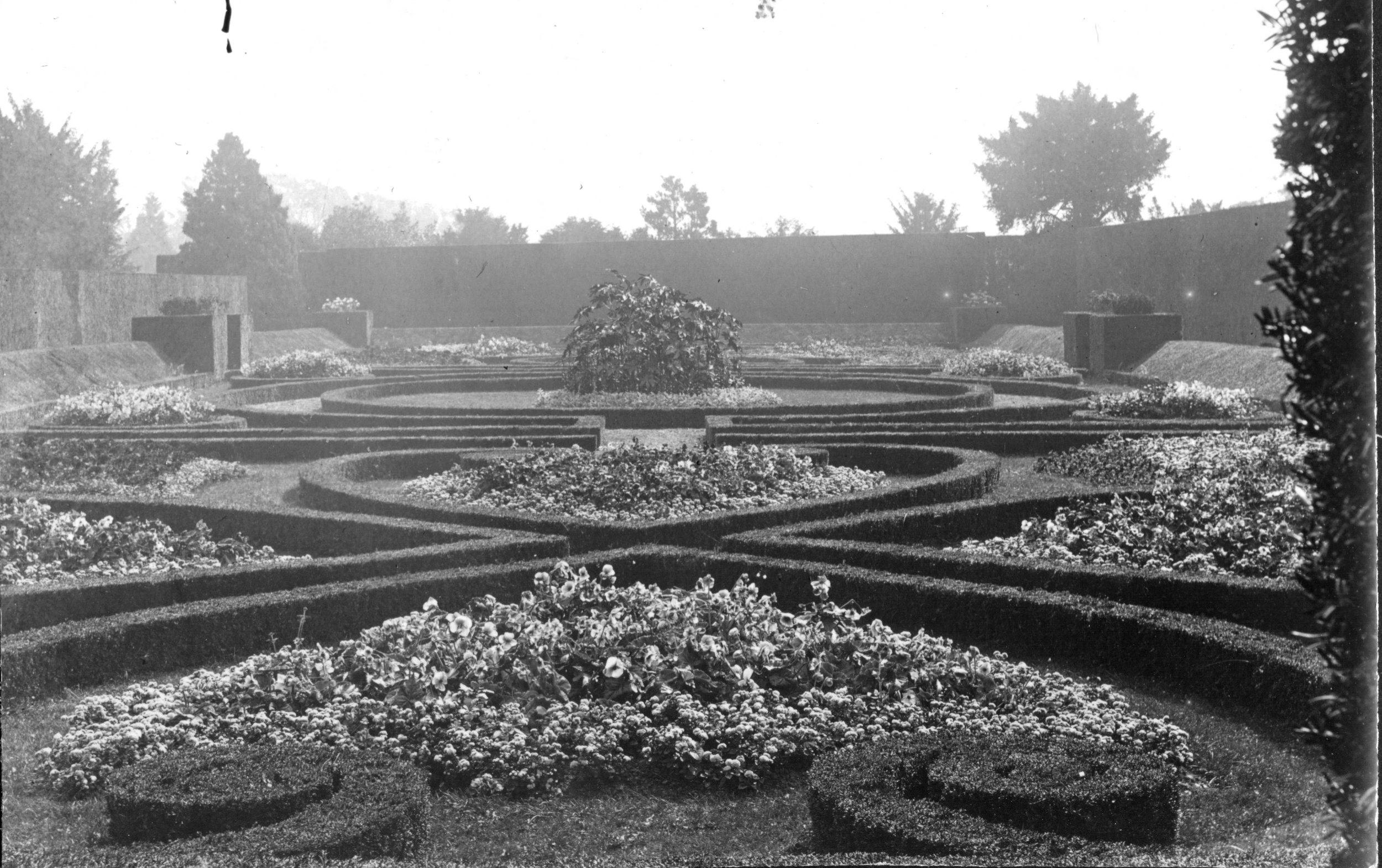 Italian Garden circa 1900 provided by Heather Colley .jpg