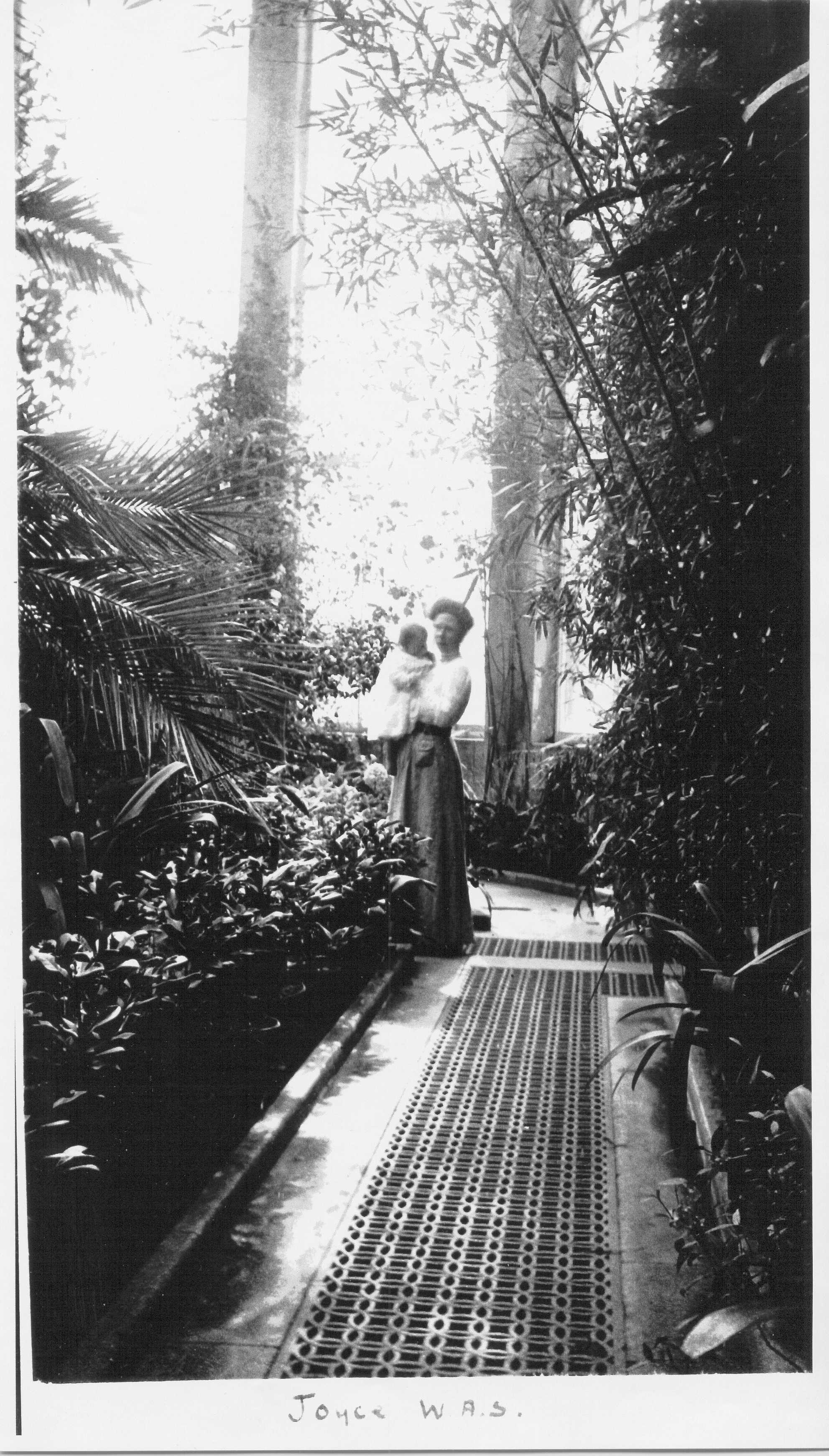 Joyce in the Palm House circa 1910 provided by Heather Colley .jpg