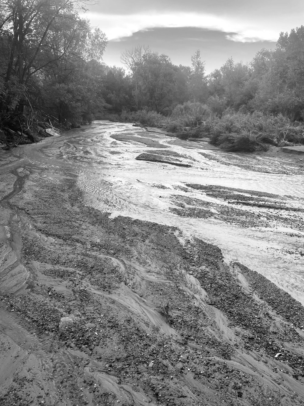 Arroyo in Tesuque, NM