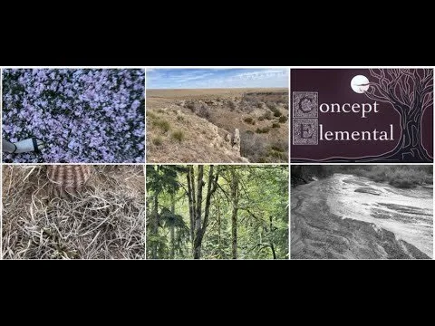 Explainer (Early on)
