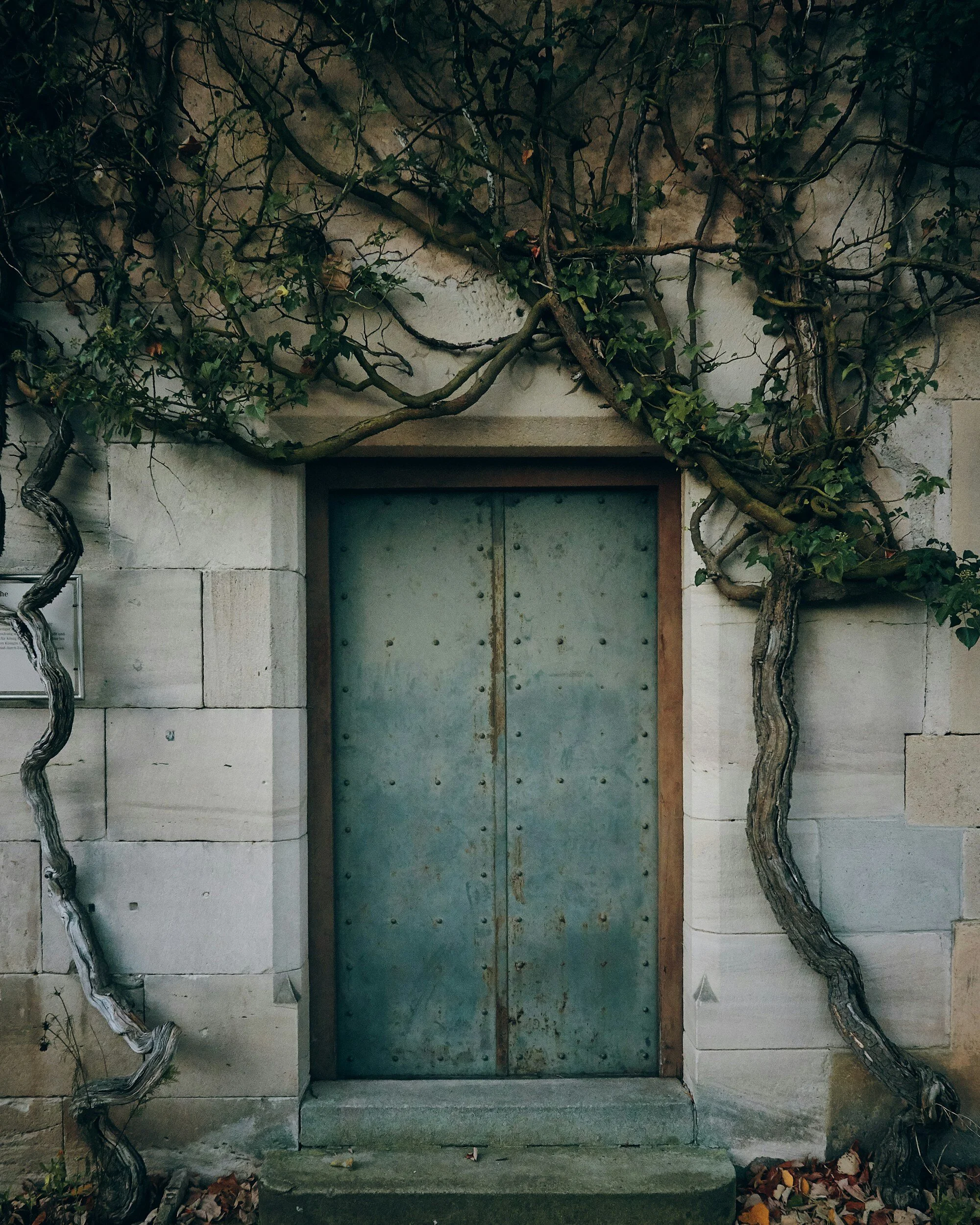 IvyFon Austin Event, Women's History and Regeneration