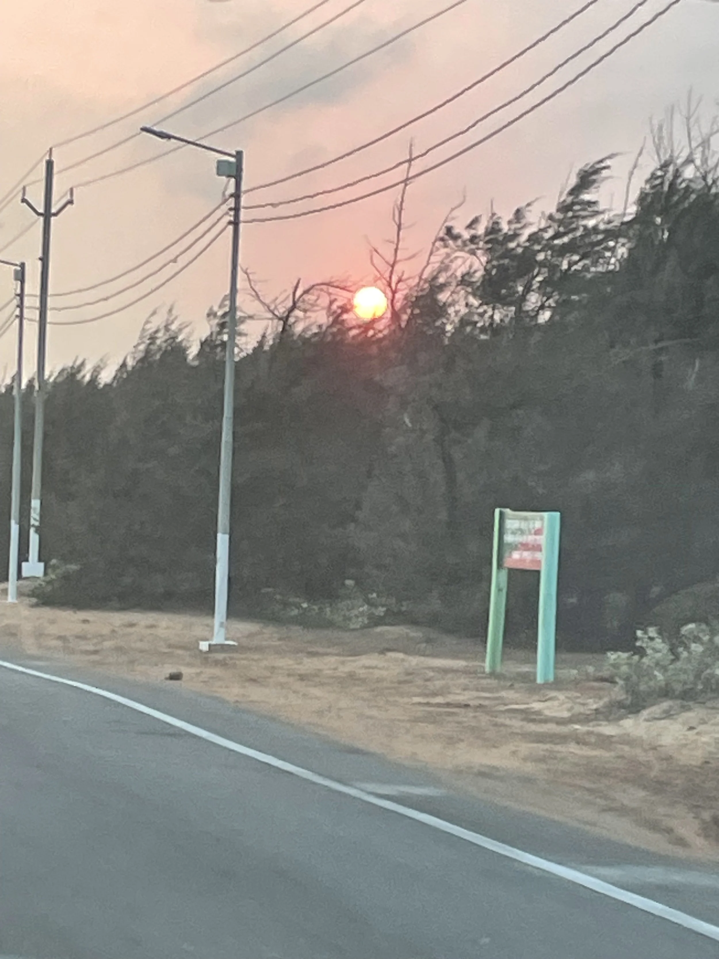 Temple_Drive_Sunset.jpg