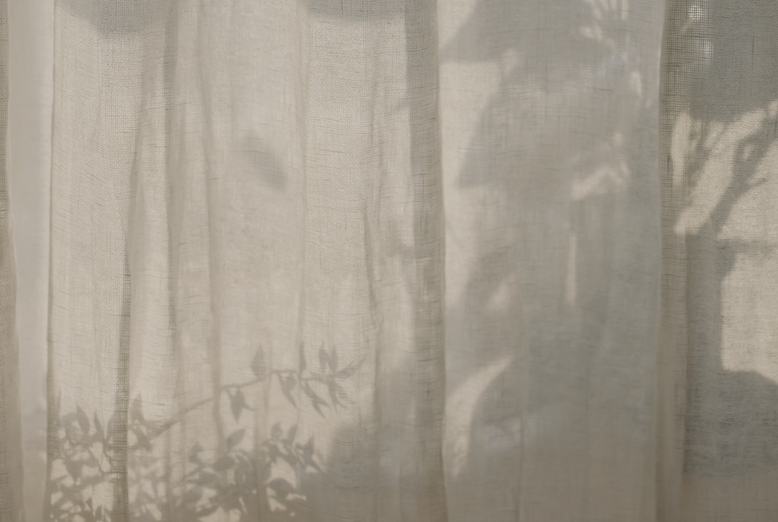 Screen Shot 2021-06-16 at 2.42.44 PM.png