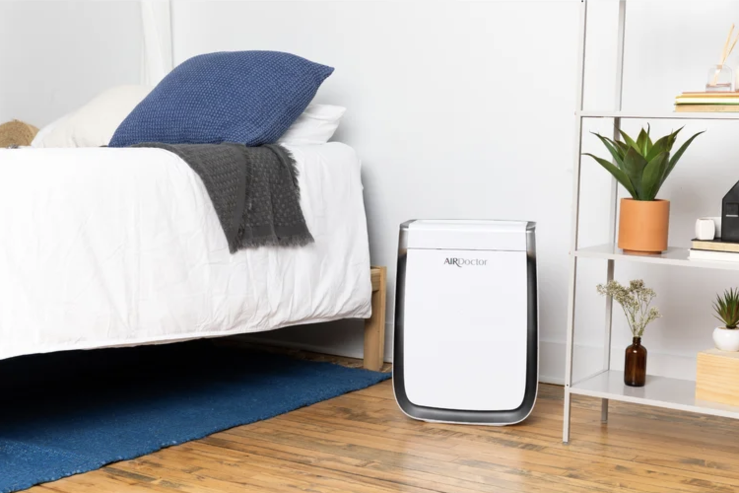 Screen Shot 2021-07-12 at 1.14.14 PM.png