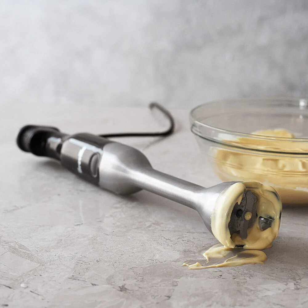 Immersion Blender