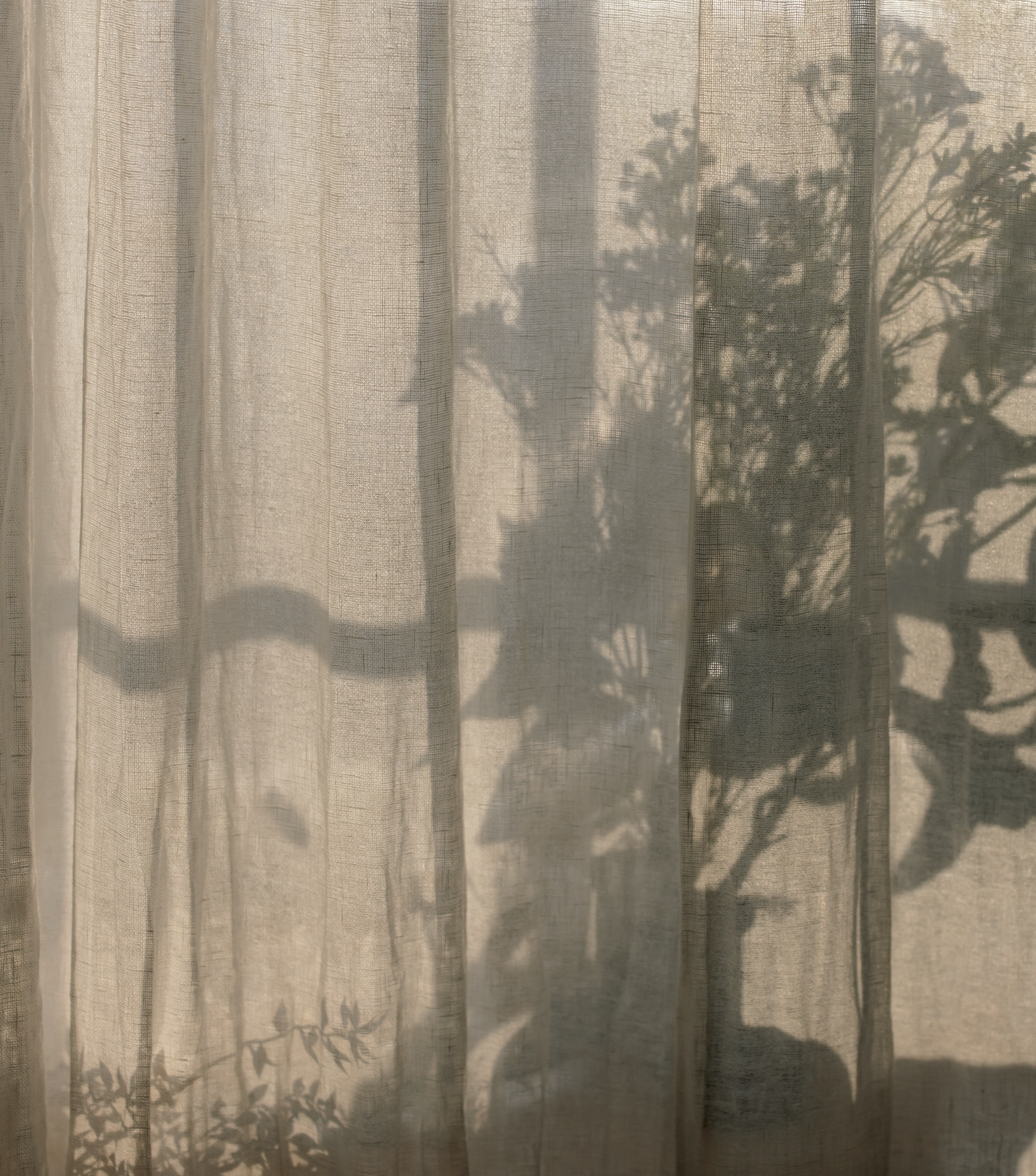 Screen Shot 2021-05-07 at 1.47.22 PM.png