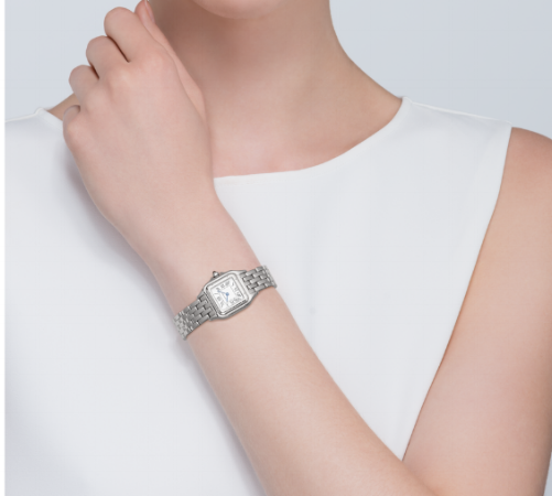 The 5 Most Iconic Ladies' (Small Wrist 