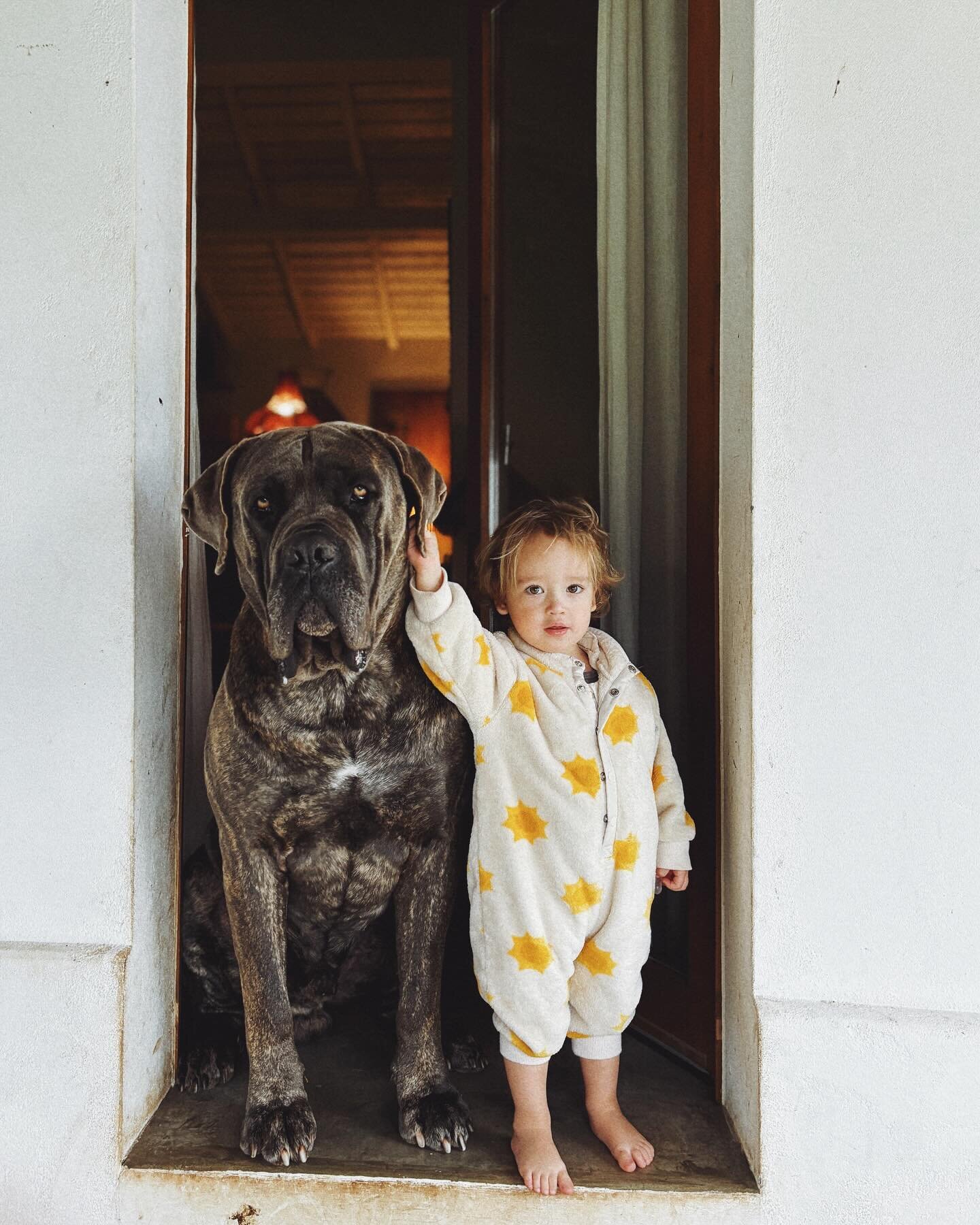 Chico e Clementina