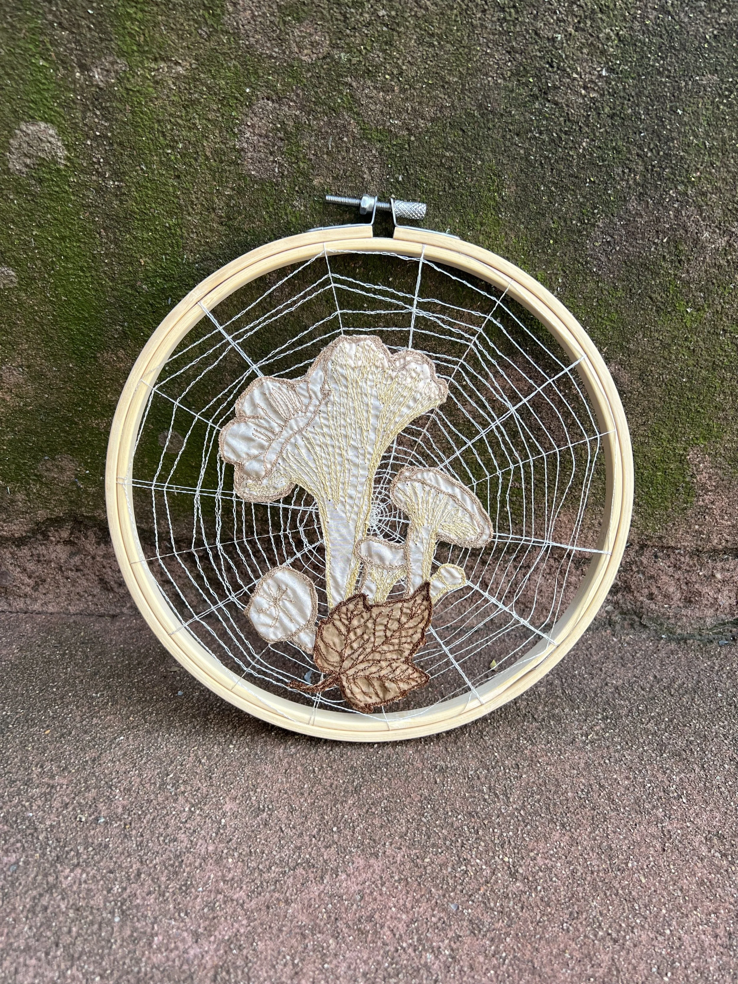 Chanterelle Mushroom