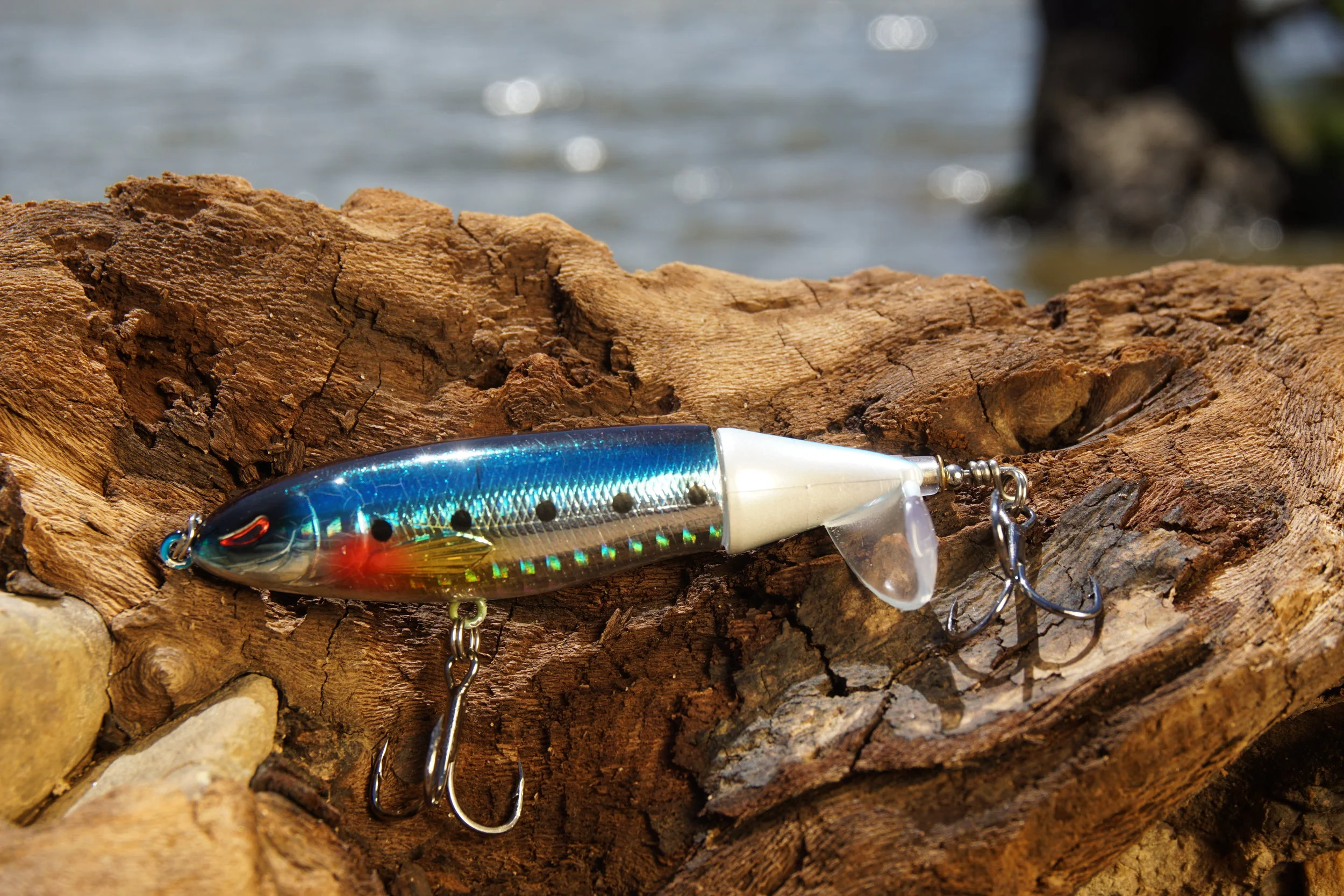 2BAA3182-5E21-444D-AF89-B1FE557FD468