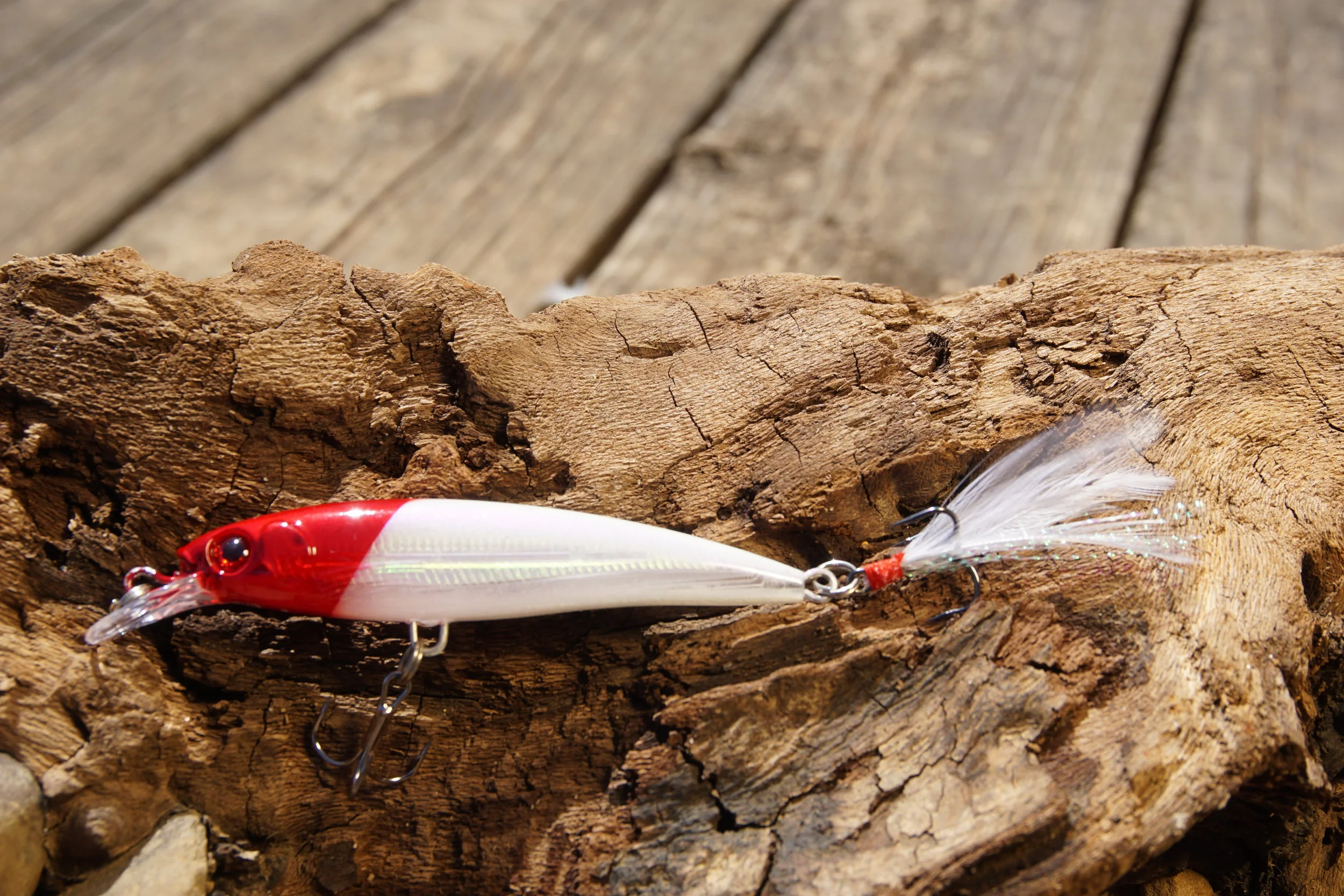 89C8EBBC-3BAB-4670-9F38-6F06C60F928F